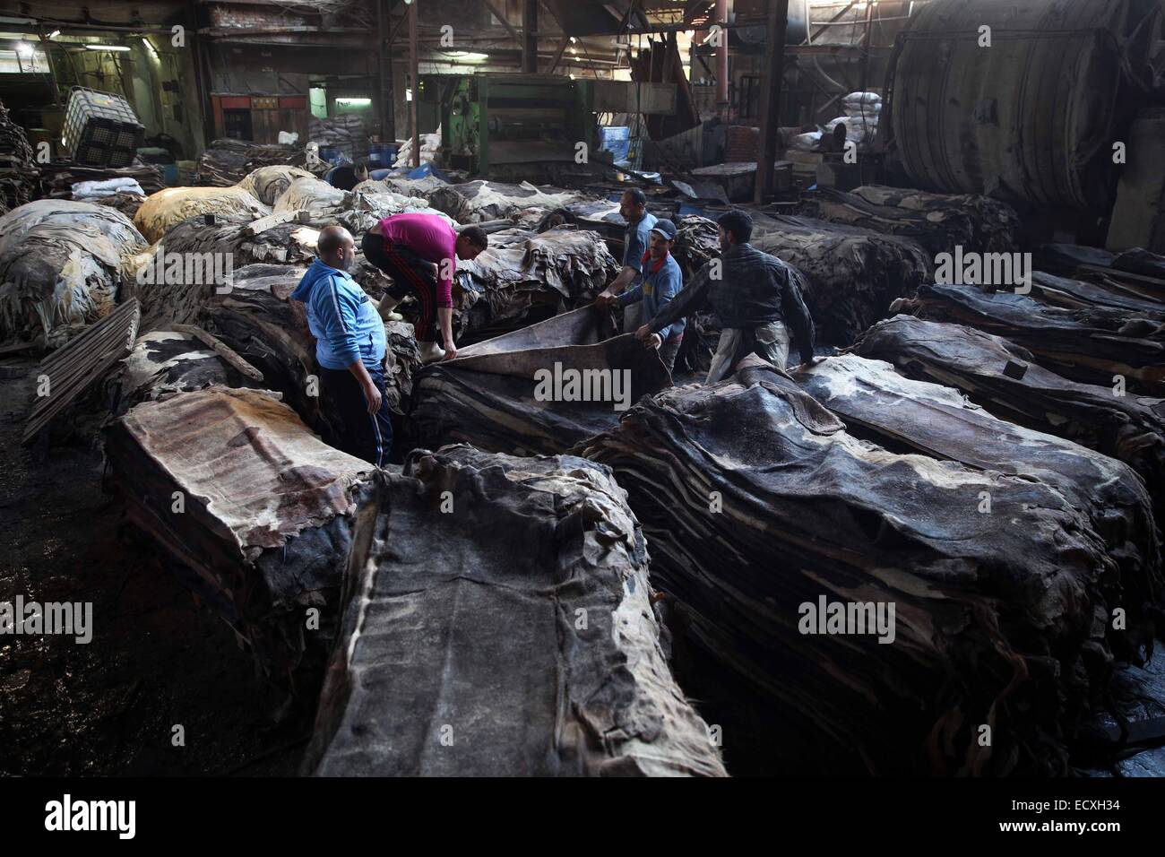 Cairo, Egypt. 20th Dec, 2014. Egyptians work at a leather tanning factory in Cairo, Egypt, on