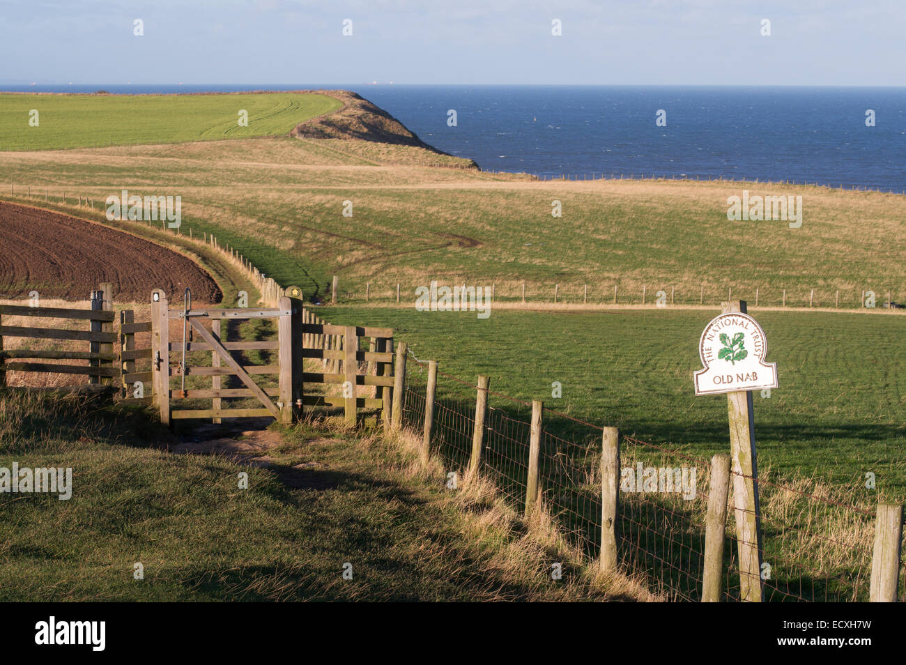 Cleveland Way footpath at Old Nab near Staithes, North Yorkshire, England, UK Stock Photo