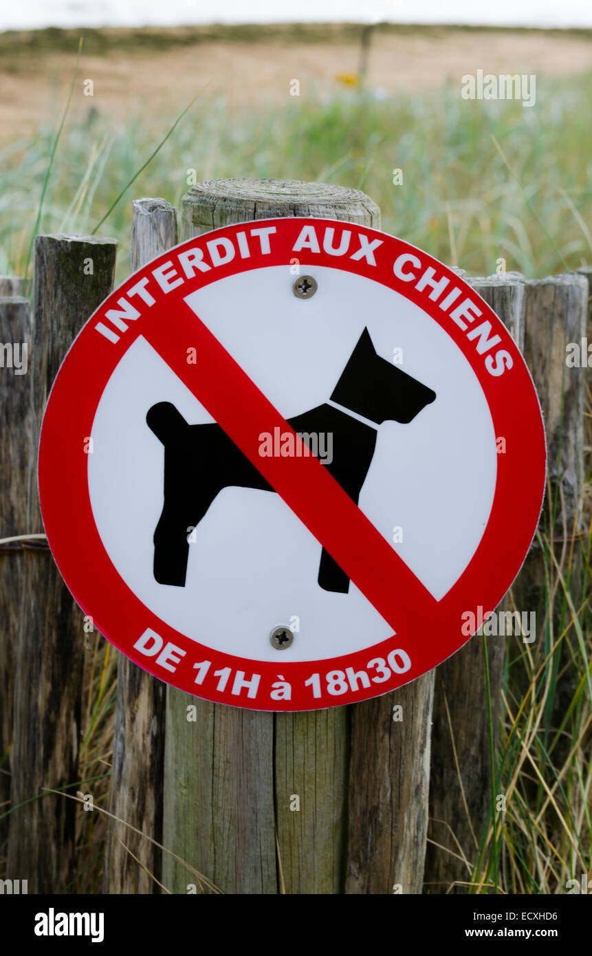 Are Dogs Allowed On The Beach In France