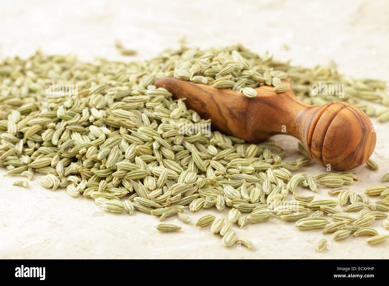 Fennel seeds Stock Photo