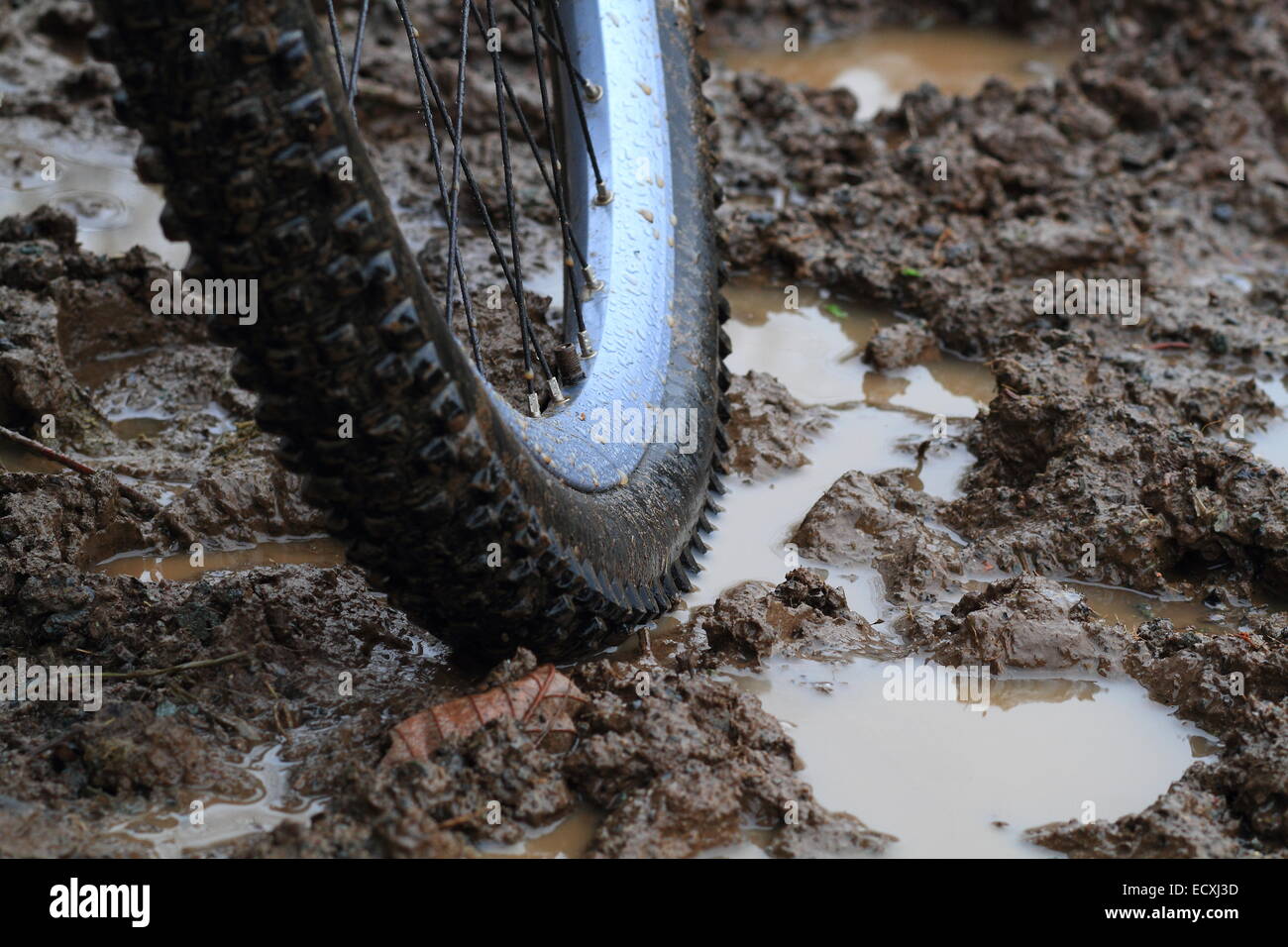 mountain biking rain