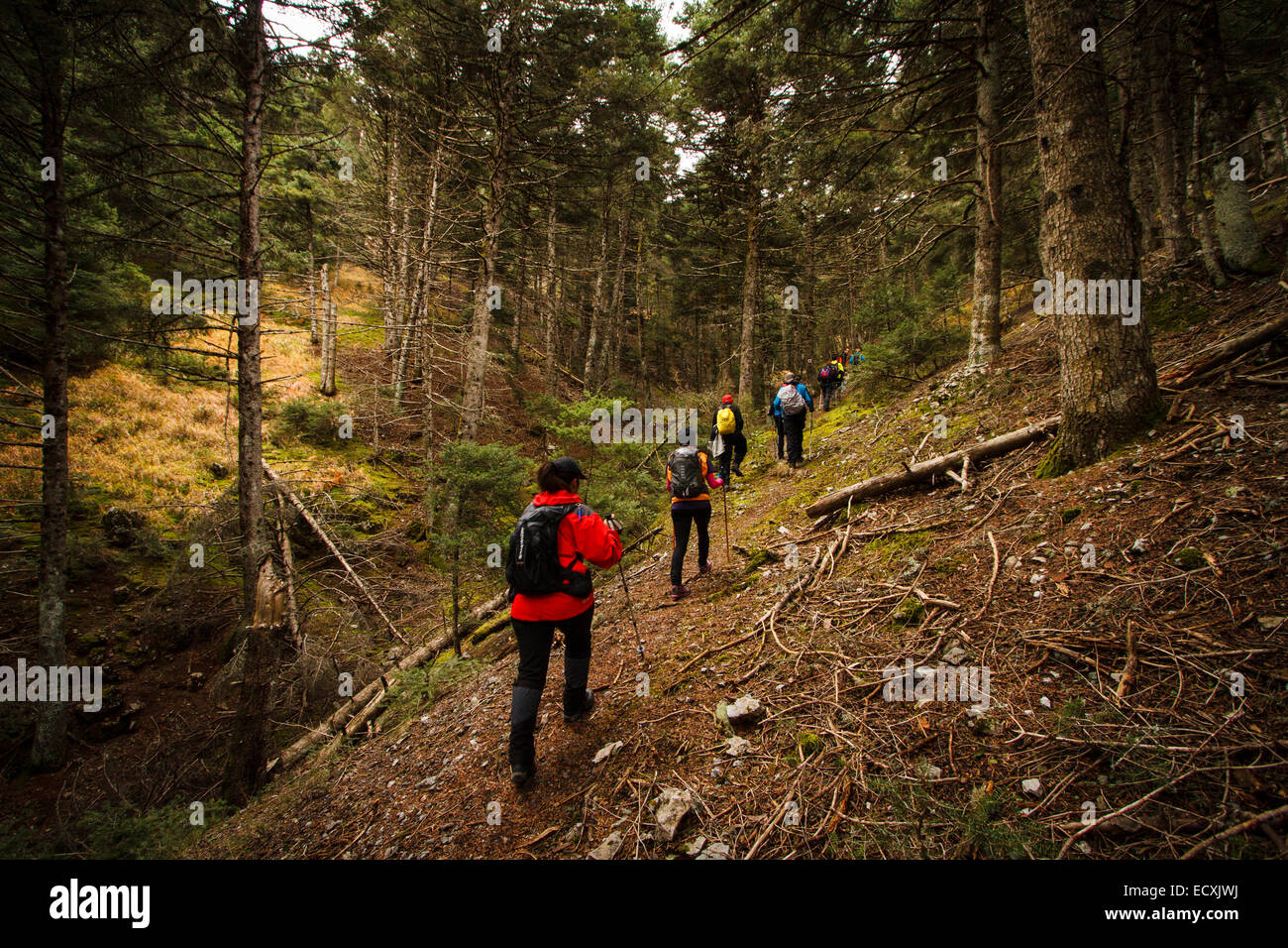 Hikers on mount Menalon. Arcadia, Peloponnese, Greece Stock Photo