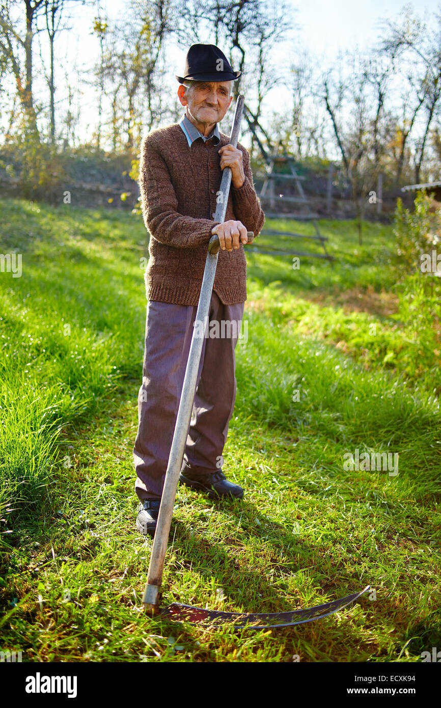 Senior farmer mowing the lawn with a scythe, traditionally Stock Photo ...