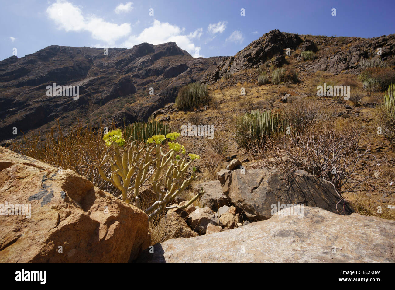 Gran Canaria - Presa del Parralillo, dam in the mountains. Mountain scenery next to the dam. Stock Photo