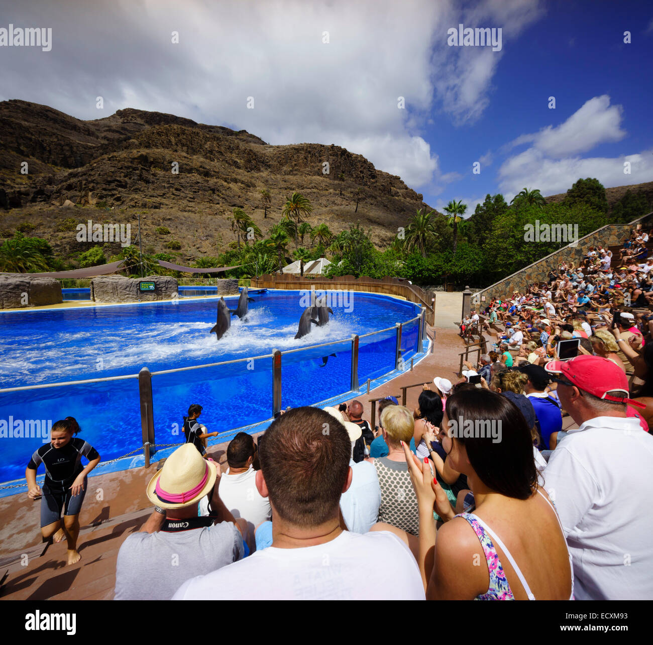 Gran Canaria - Palmitos Park. Dolphin show. Audience. Stock Photo