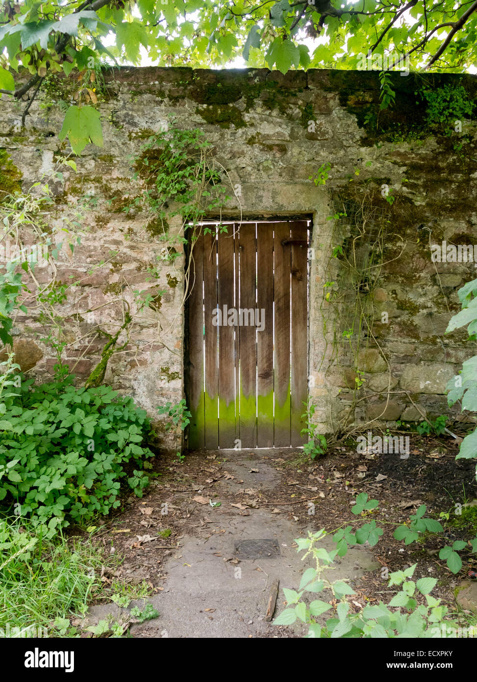 Wooden door in an old stone wall Stock Photo - Alamy