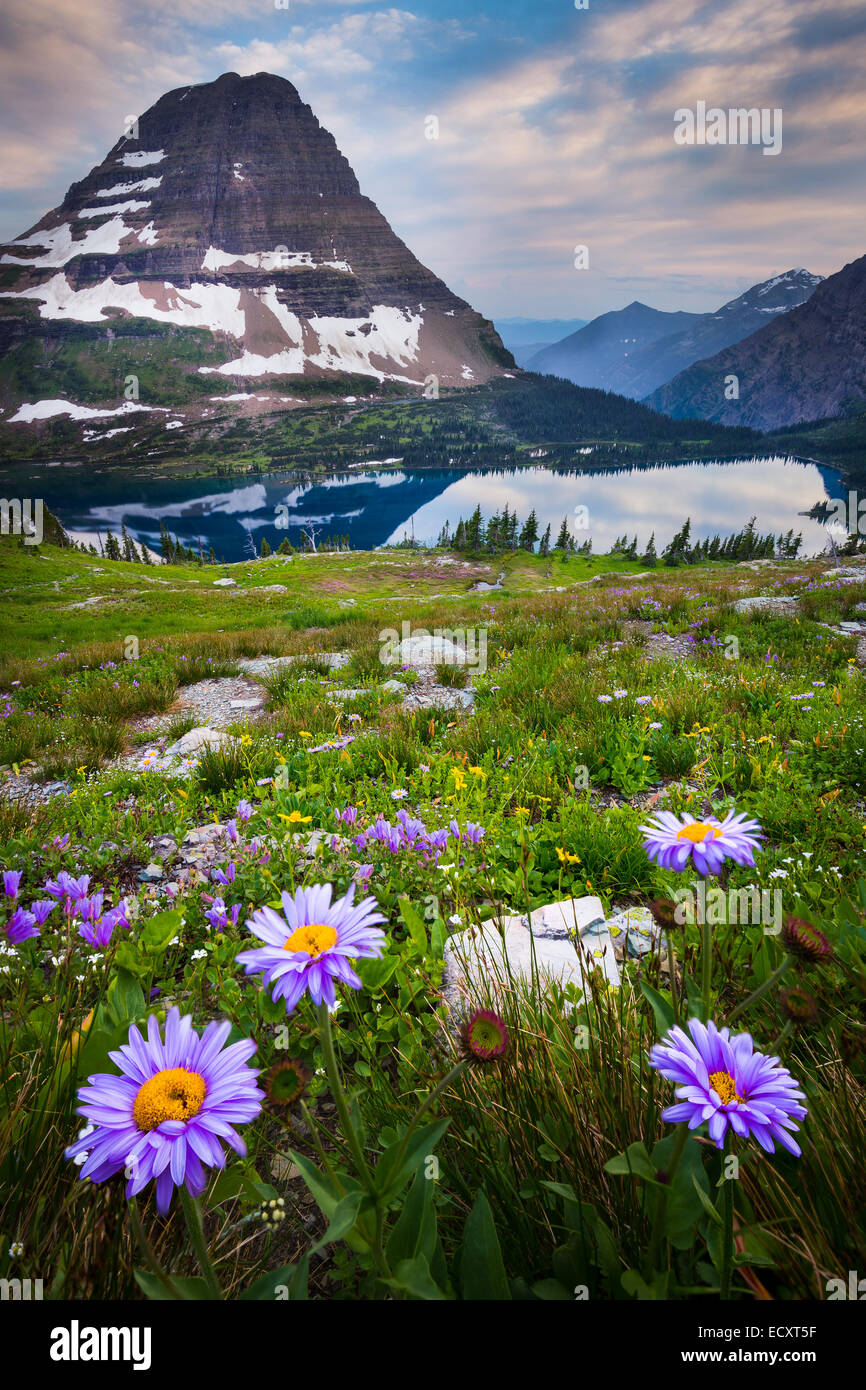 Hidden Lake is located in Glacier National Park, in the U. S. state of Montana. Stock Photo