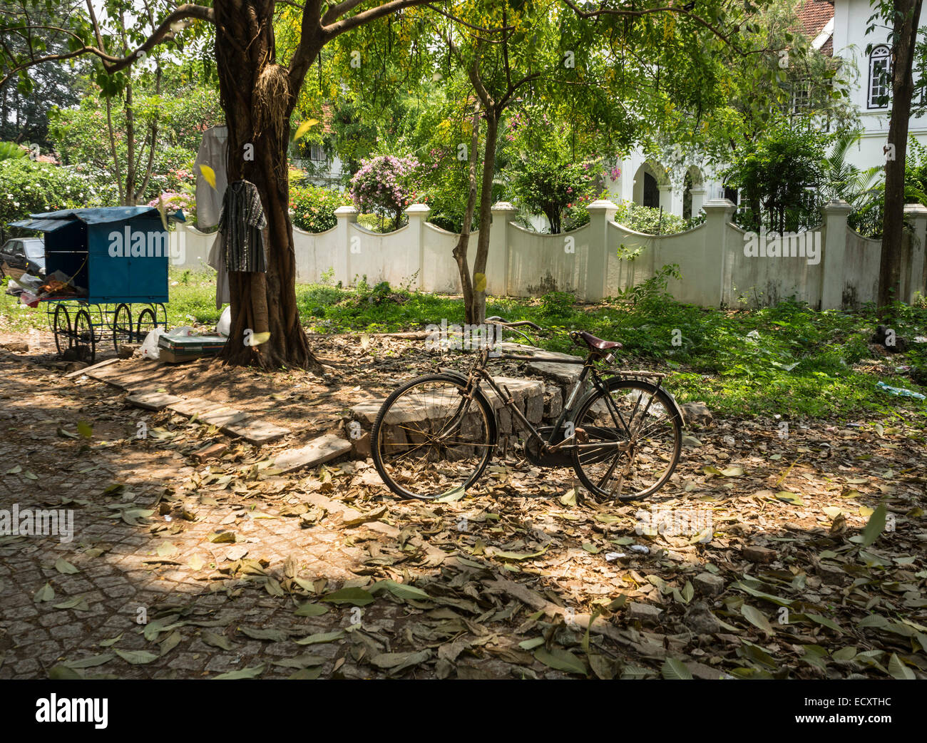 Kerala, India Cochin. bicycle Stock Photo Alamy