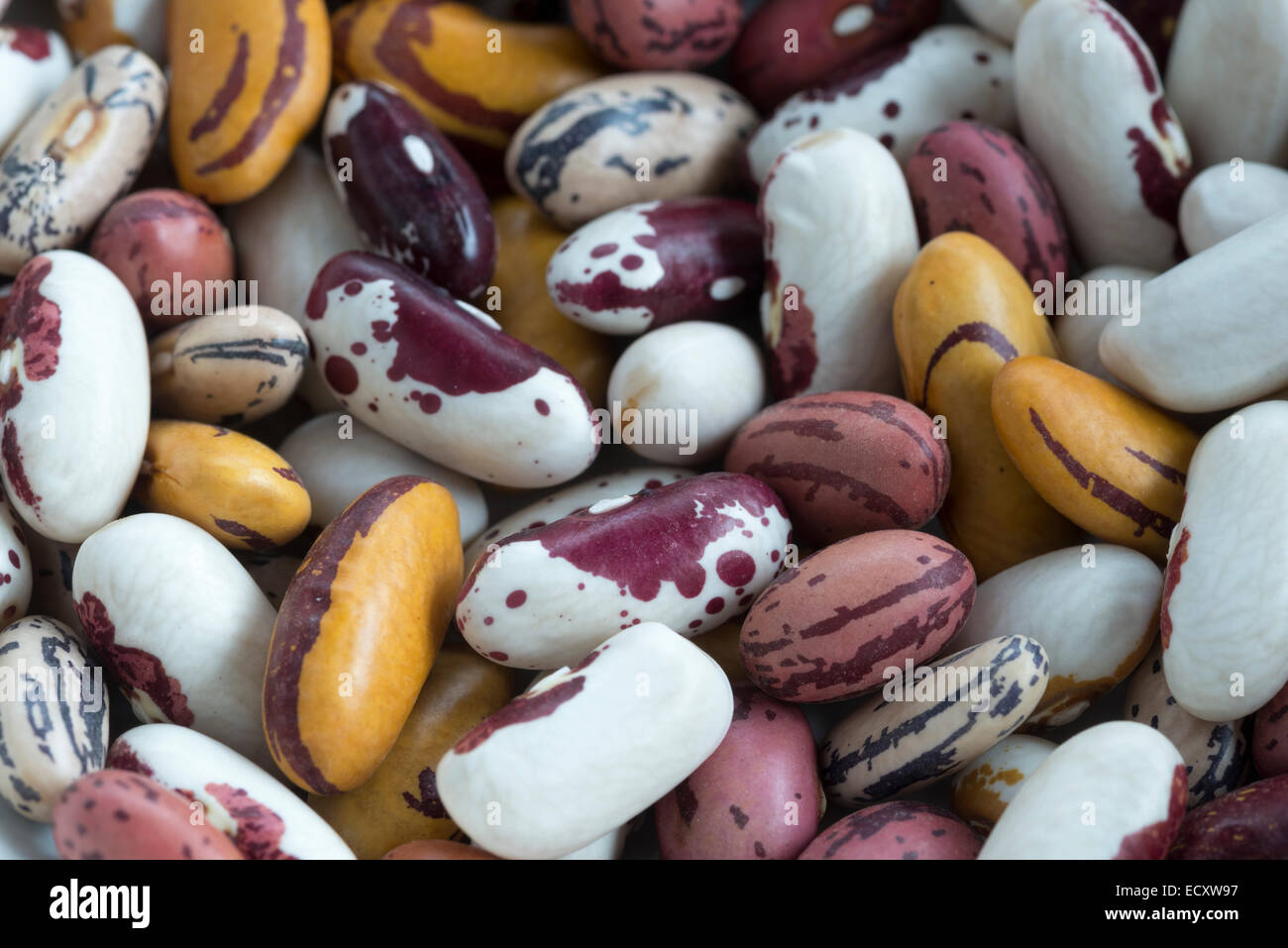 Heirloom bean hires stock photography and images Alamy