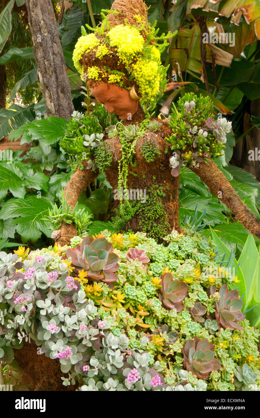 Topiary San Diego Botanic Garden Encinitas California Stock