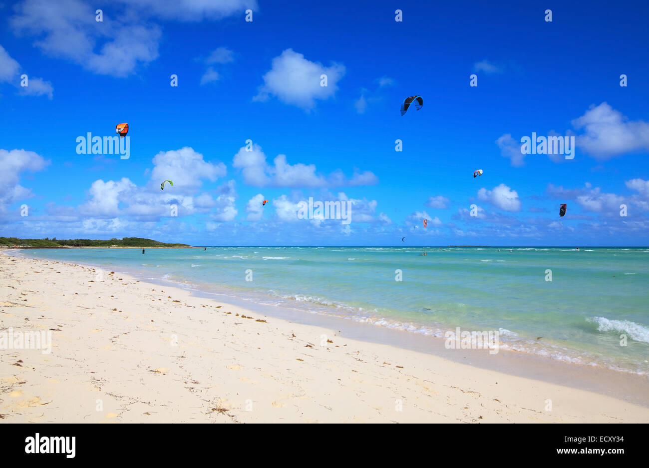 Atlantic coast. Cayo Guillermo. Cuba. Stock Photo