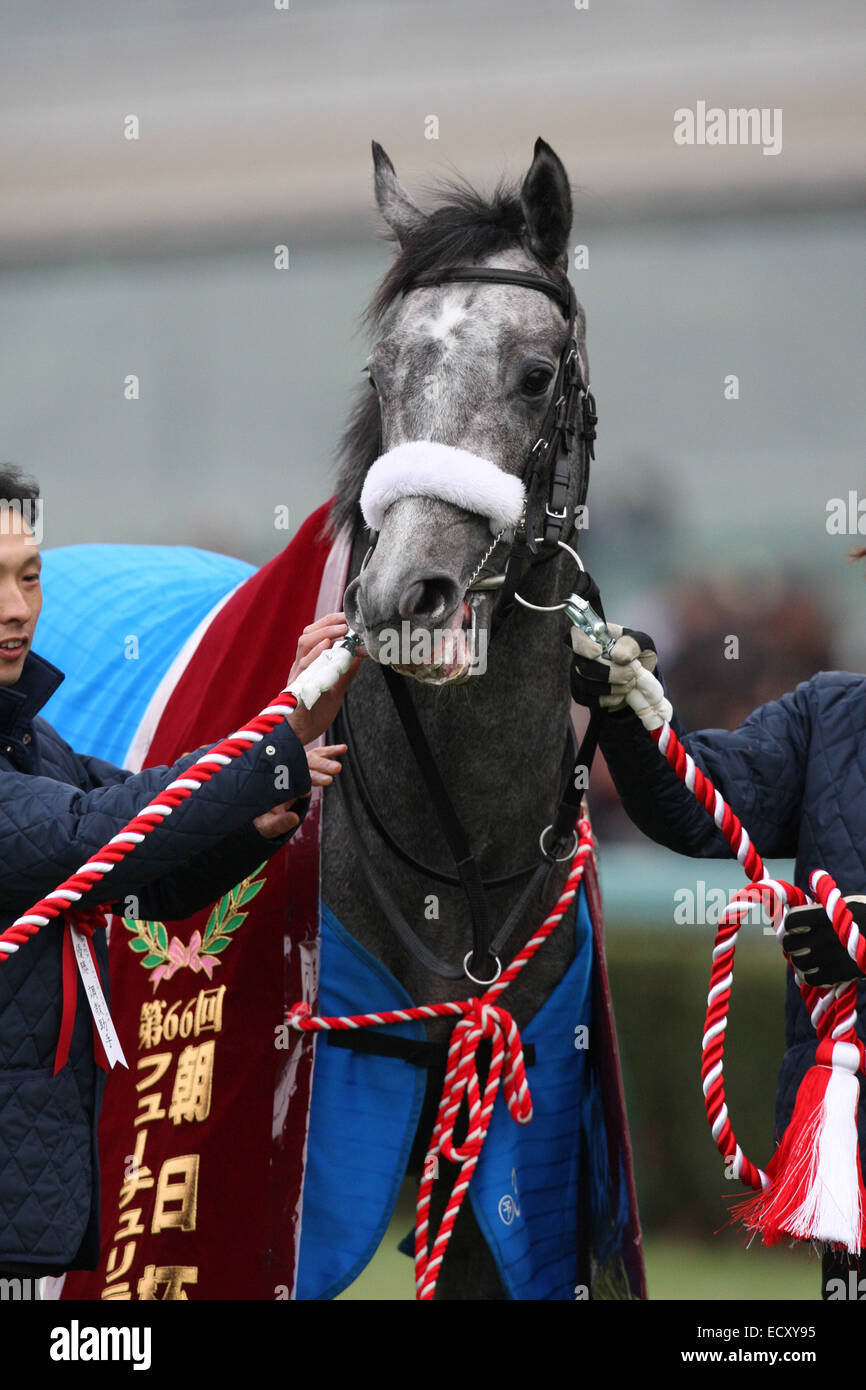 Hyogo, Japan. 21st Dec, 2014. Danon Platina Horse Racing : Danon Platina after winning the Asahi Hai Futurity Stakes at Hanshin Racecourse in Hyogo, Japan . Credit:  Eiichi Yamane/AFLO/Alamy Live News Stock Photo