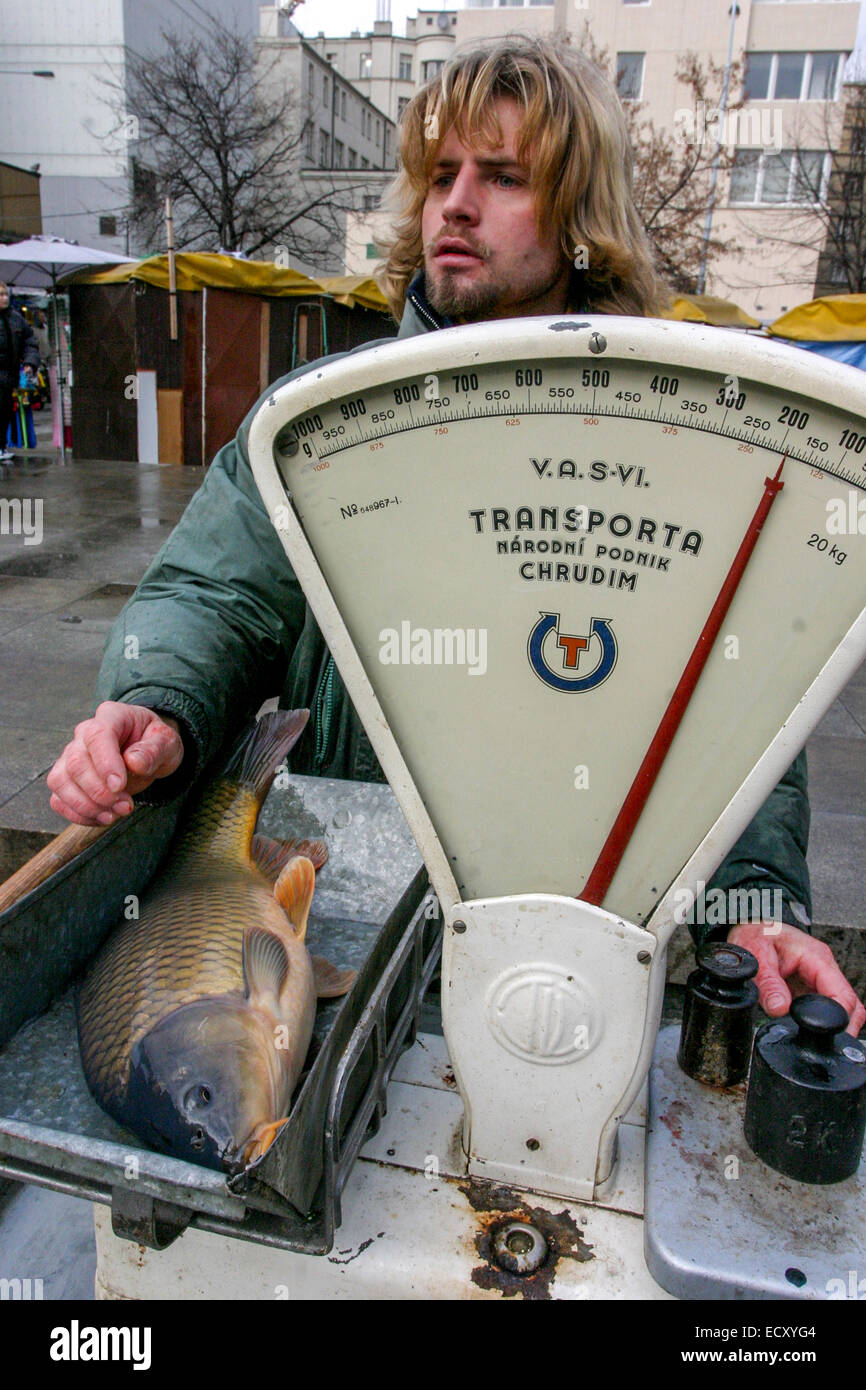 The selling of Christmas carps on the street belongs to the Czech tradition, Stock Photo