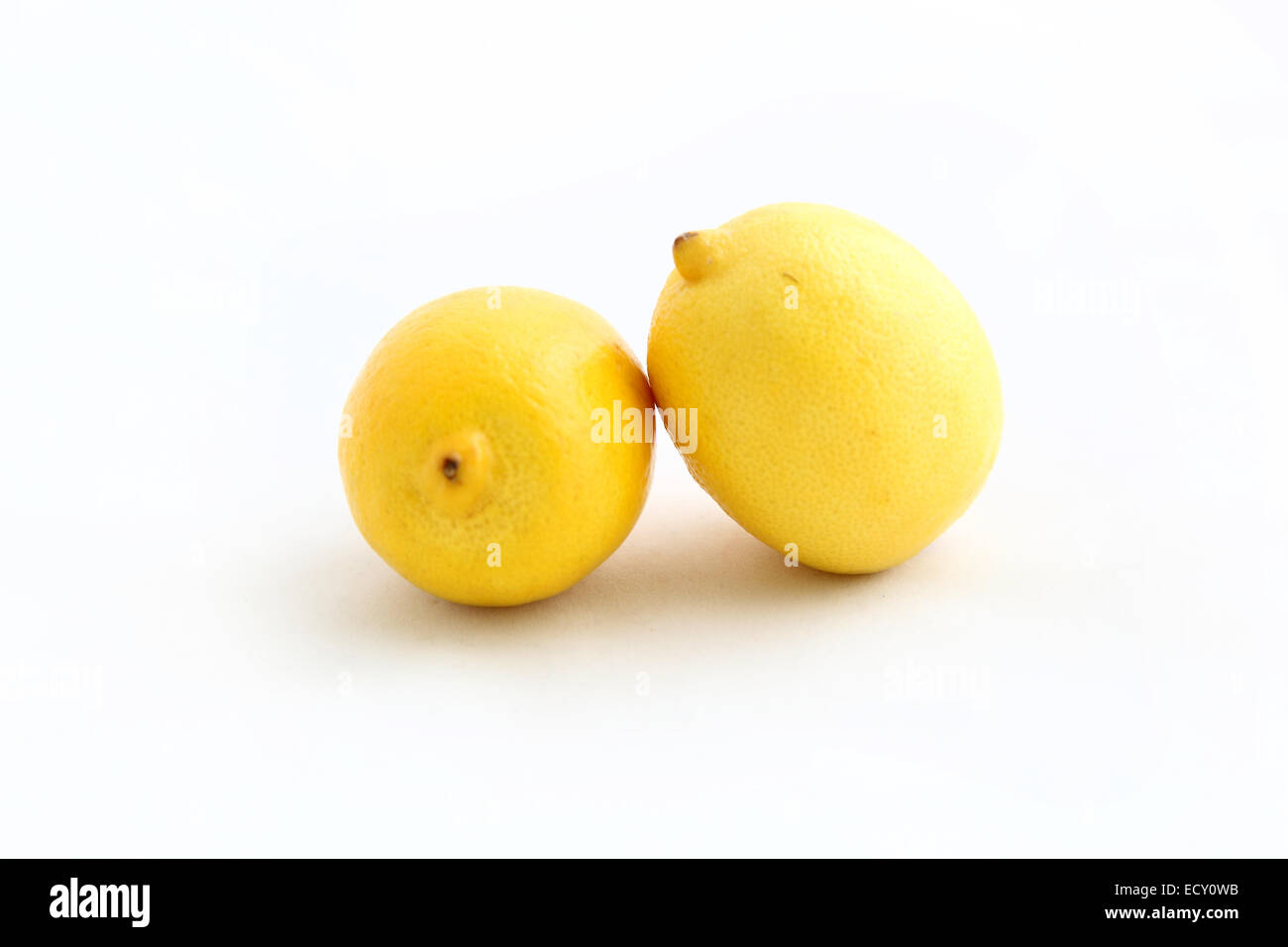 two lemons on a white background Stock Photo