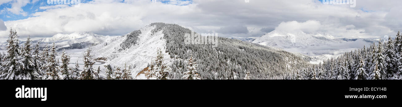 panorama spruce forest around mountain in winter covered by snow day scenic Stock Photo
