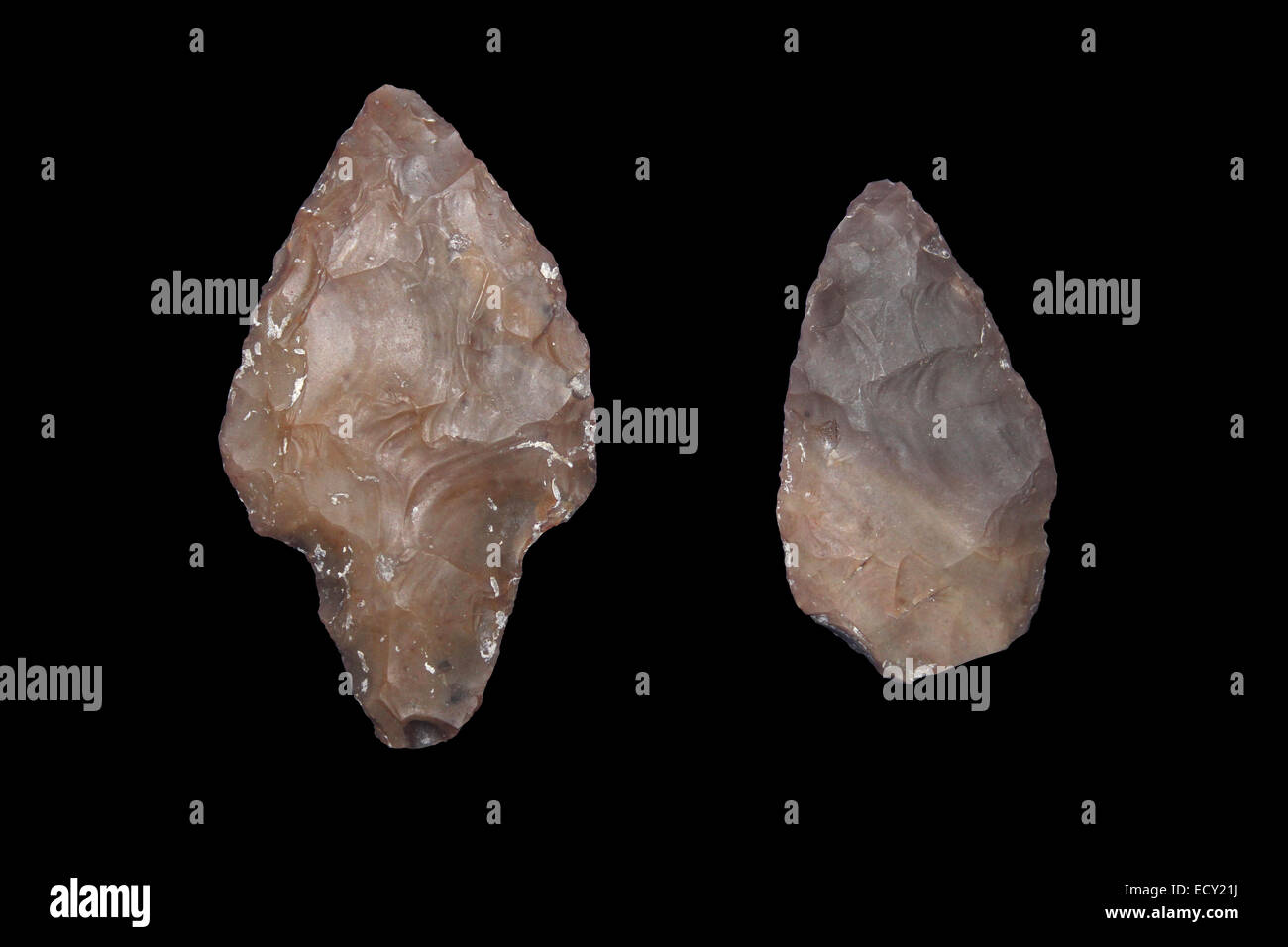 Mayan Flint Arrowheads, Belize (Late Classic Period 800-900 A.D.) Stock Photo