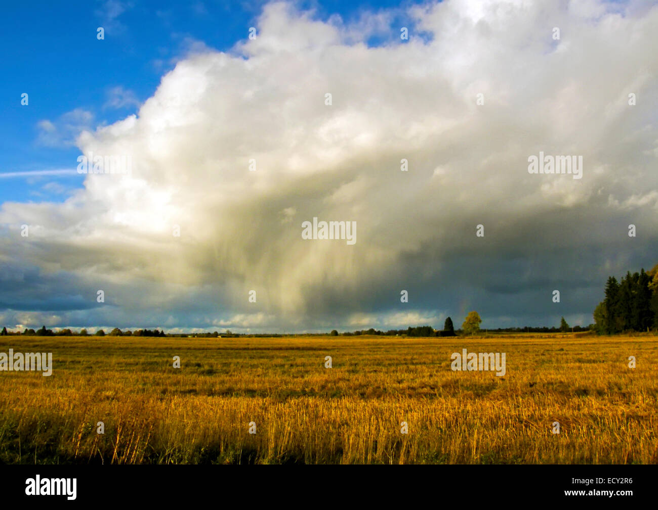 Autumn thunder-storm Stock Photo