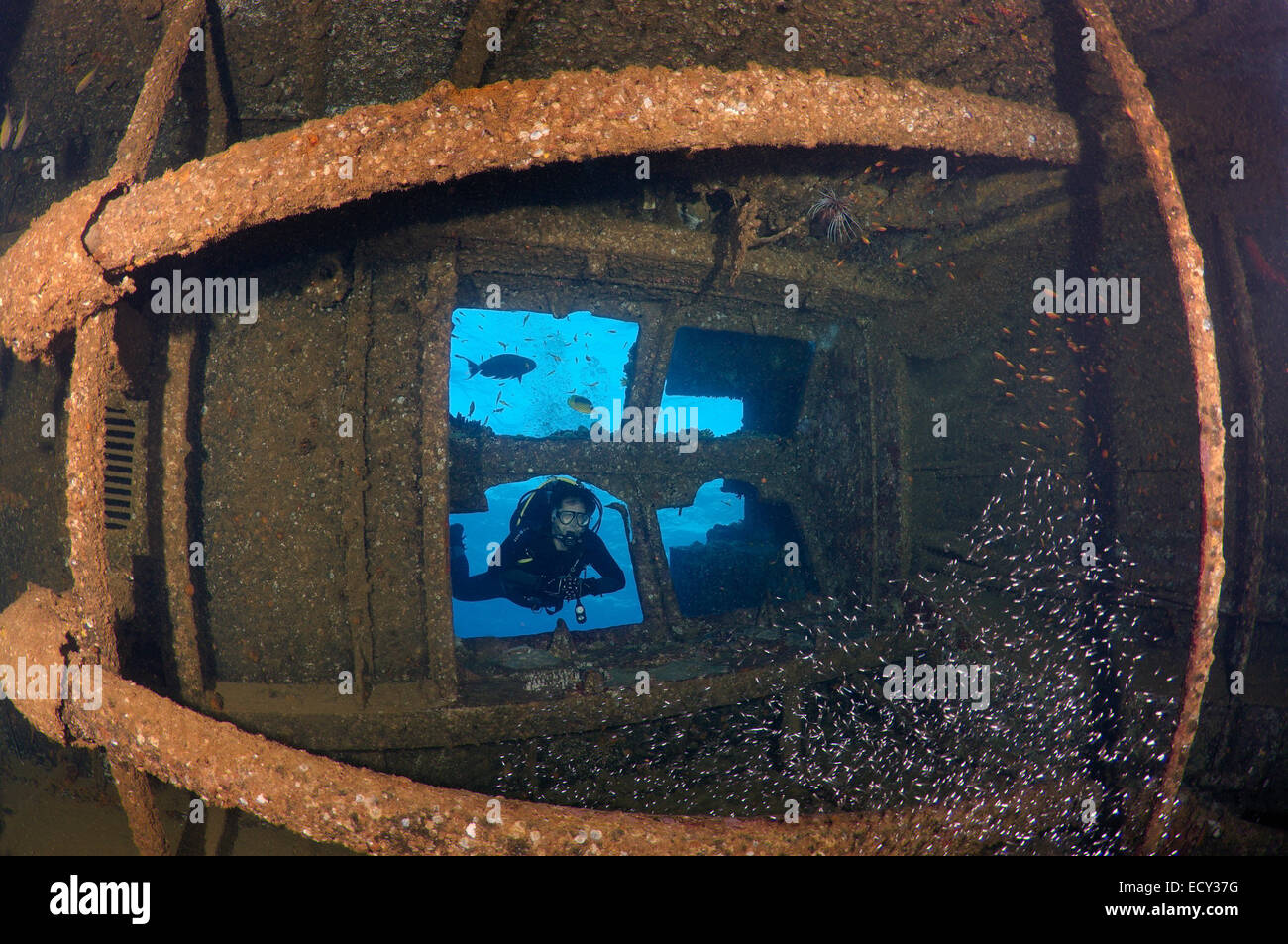 Diver looking at the engine room wreckship Gianis D. Red Sea, Sharm El Sheikh, Egypt Stock Photo