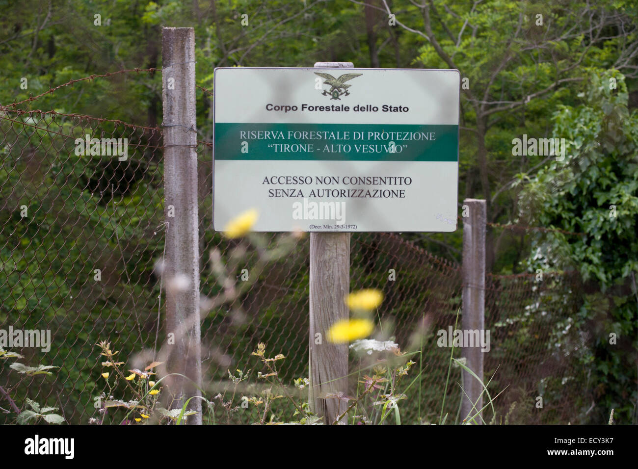 State sign forbidding access without permission to the forest on the slopes of Vesuvius. Stock Photo