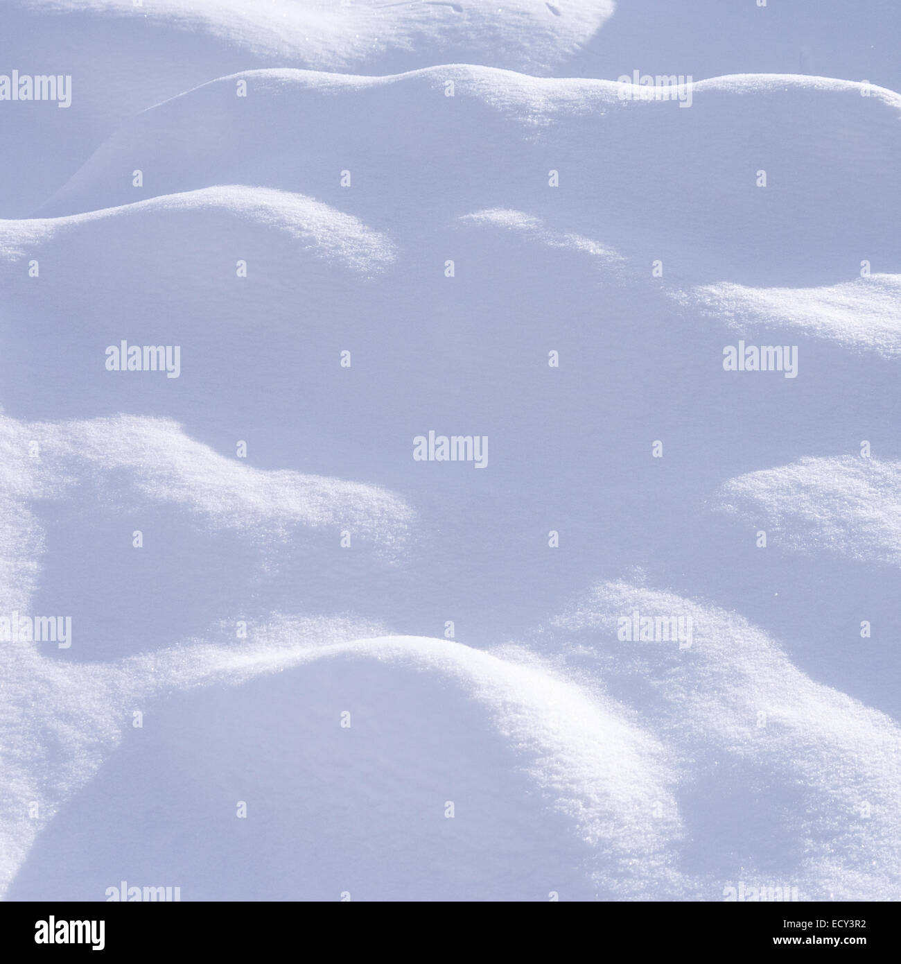 background of new fallen snow, sunlight and shadows Stock Photo