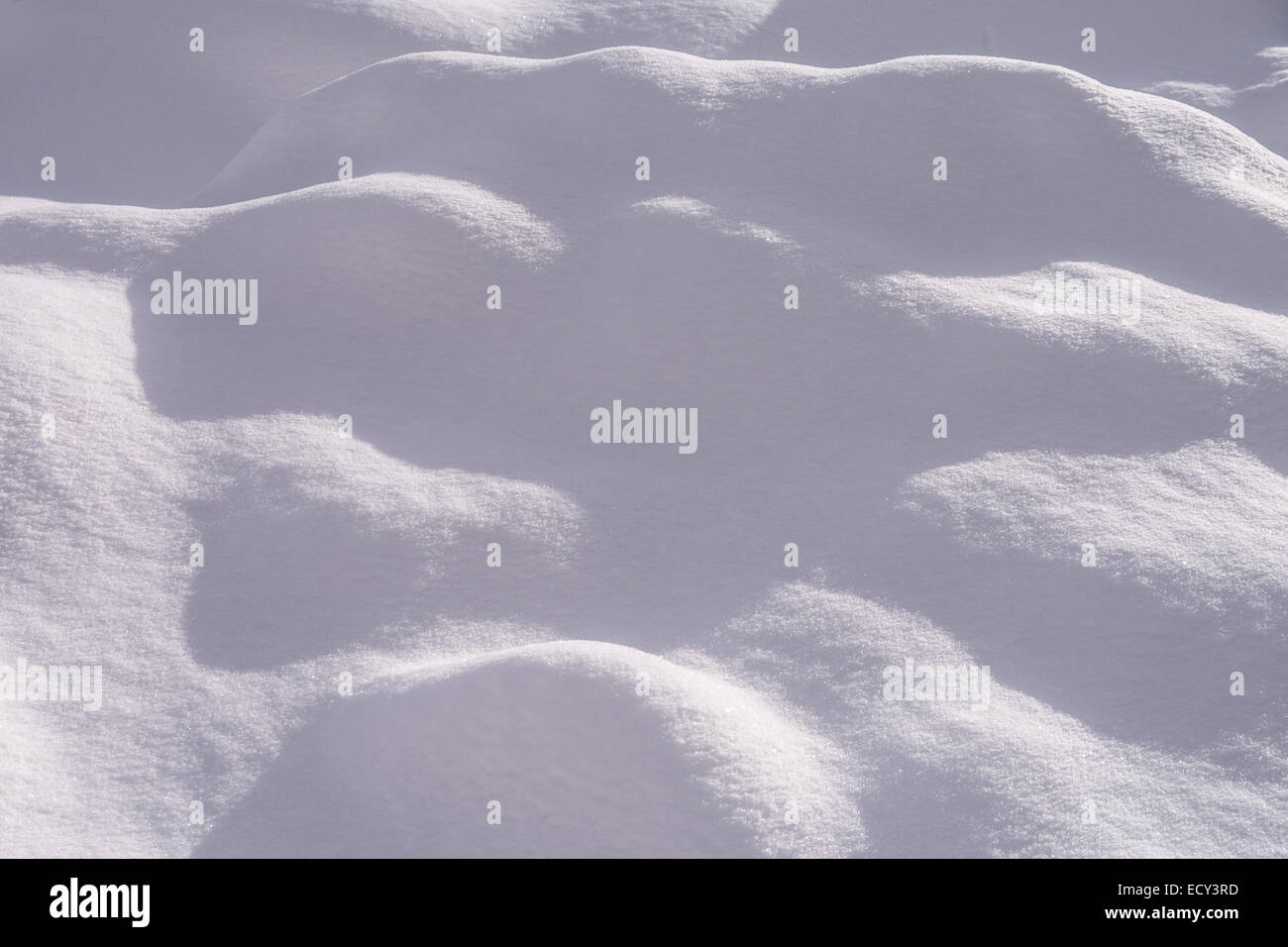 background of new fallen snow, sunglight and shadows Stock Photo