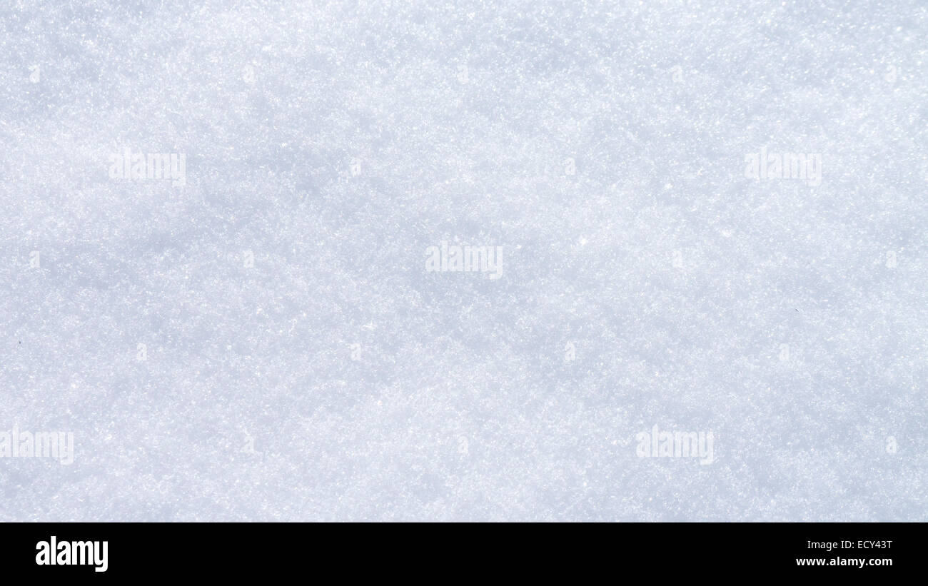 background of new fallen snow in daylight Stock Photo