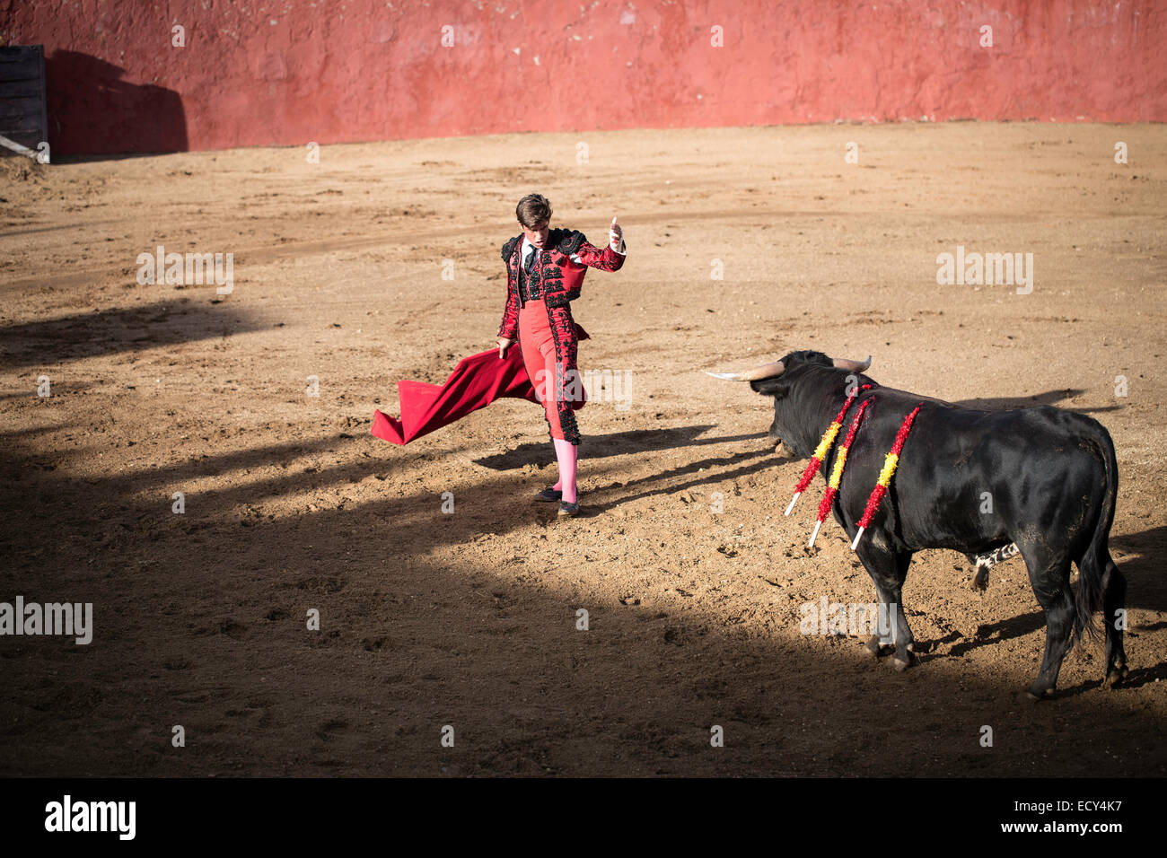 Bullfighter, bullfighting, El Barco de Avila, Avila, Spain Stock Photo