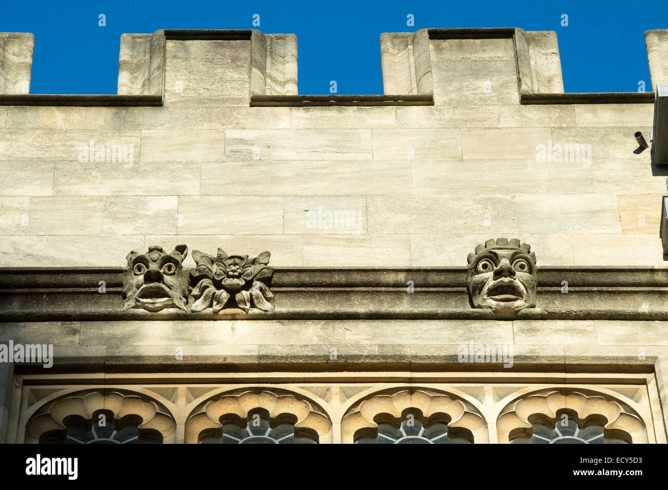 Building architecture and stone carvings in Schools Quadrangle, Bodleian Library, Oxford, England Stock Photo