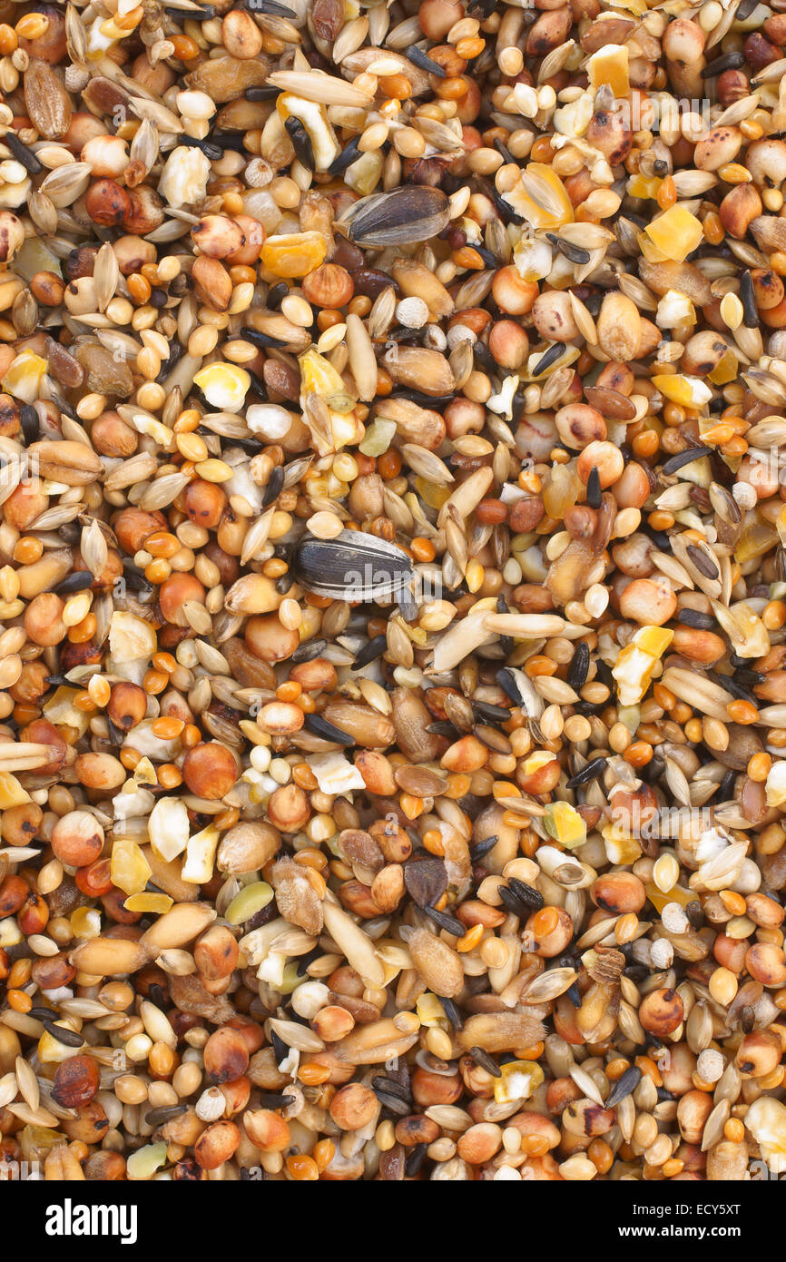 Bird seed a variety of millet, sunflower seed, cracked corn and other