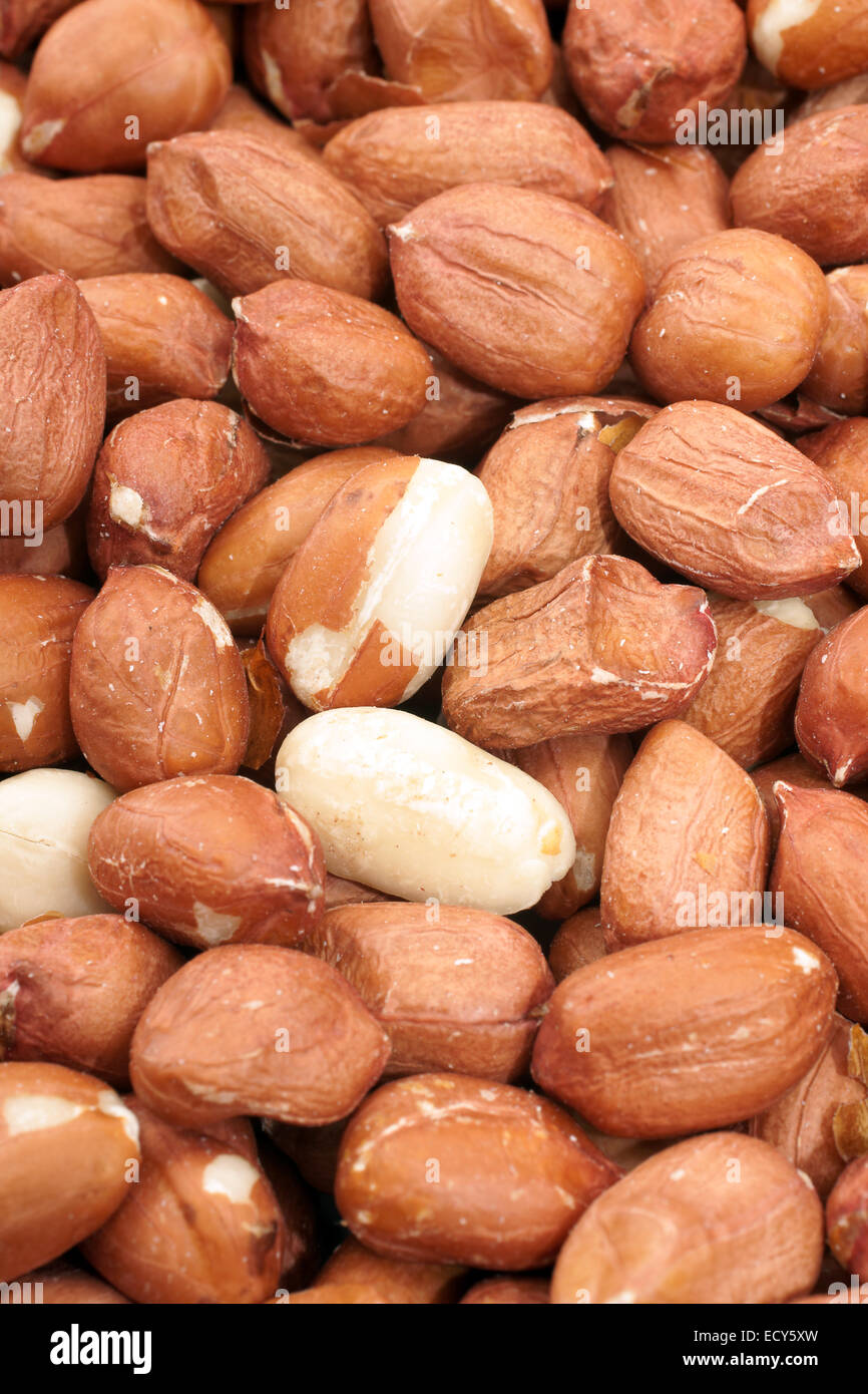 Shelled peanuts hires stock photography and images Alamy