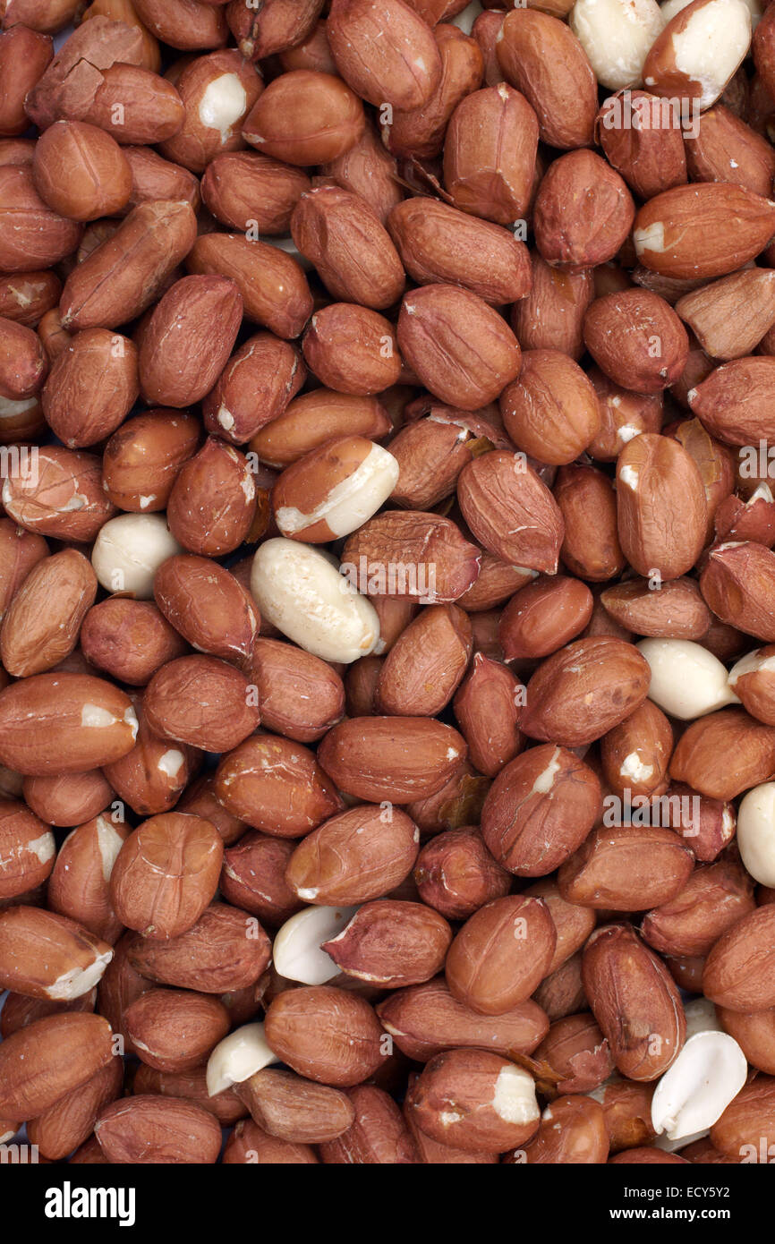 Raw shelled peanuts used as bird food or for producing snacks or oil Stock Photo Alamy