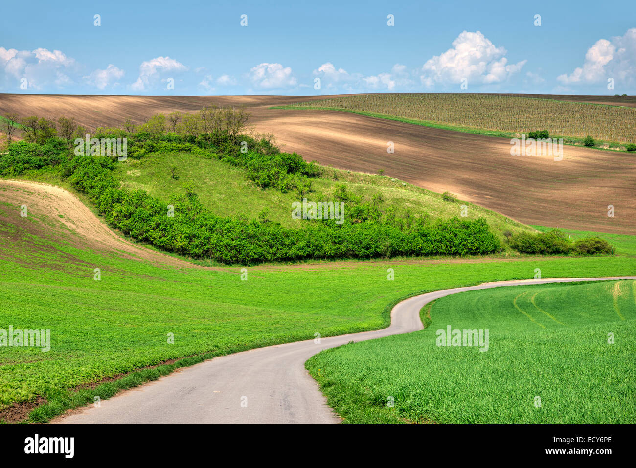 Natural Monument Hovorany meadows, Hovorany, Hodonin district, Jihomoravsky county, Czech Republic Stock Photo