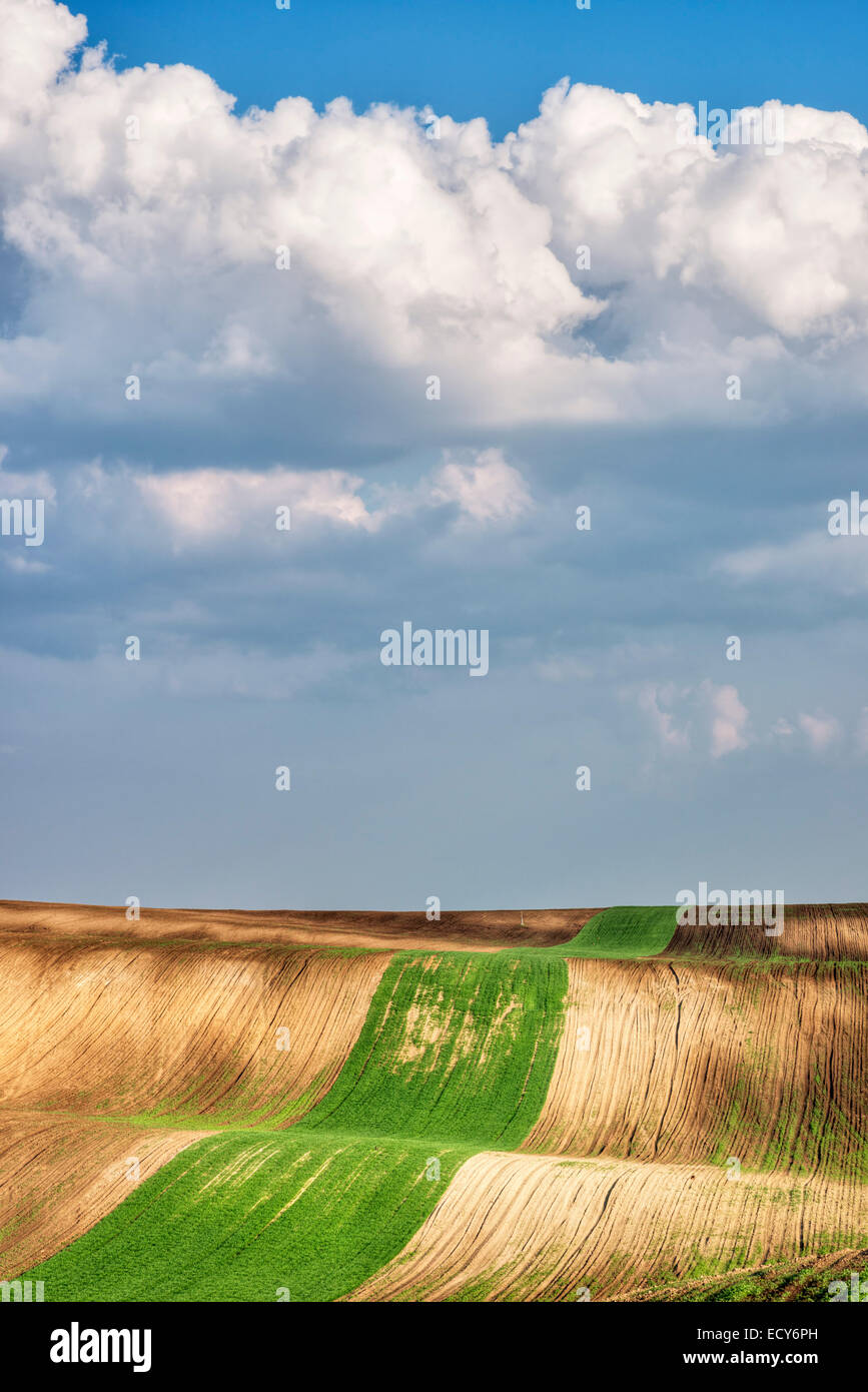Hilly fields, Hovorany, Hodonin district, Jihomoravsky county, Czech Republic Stock Photo