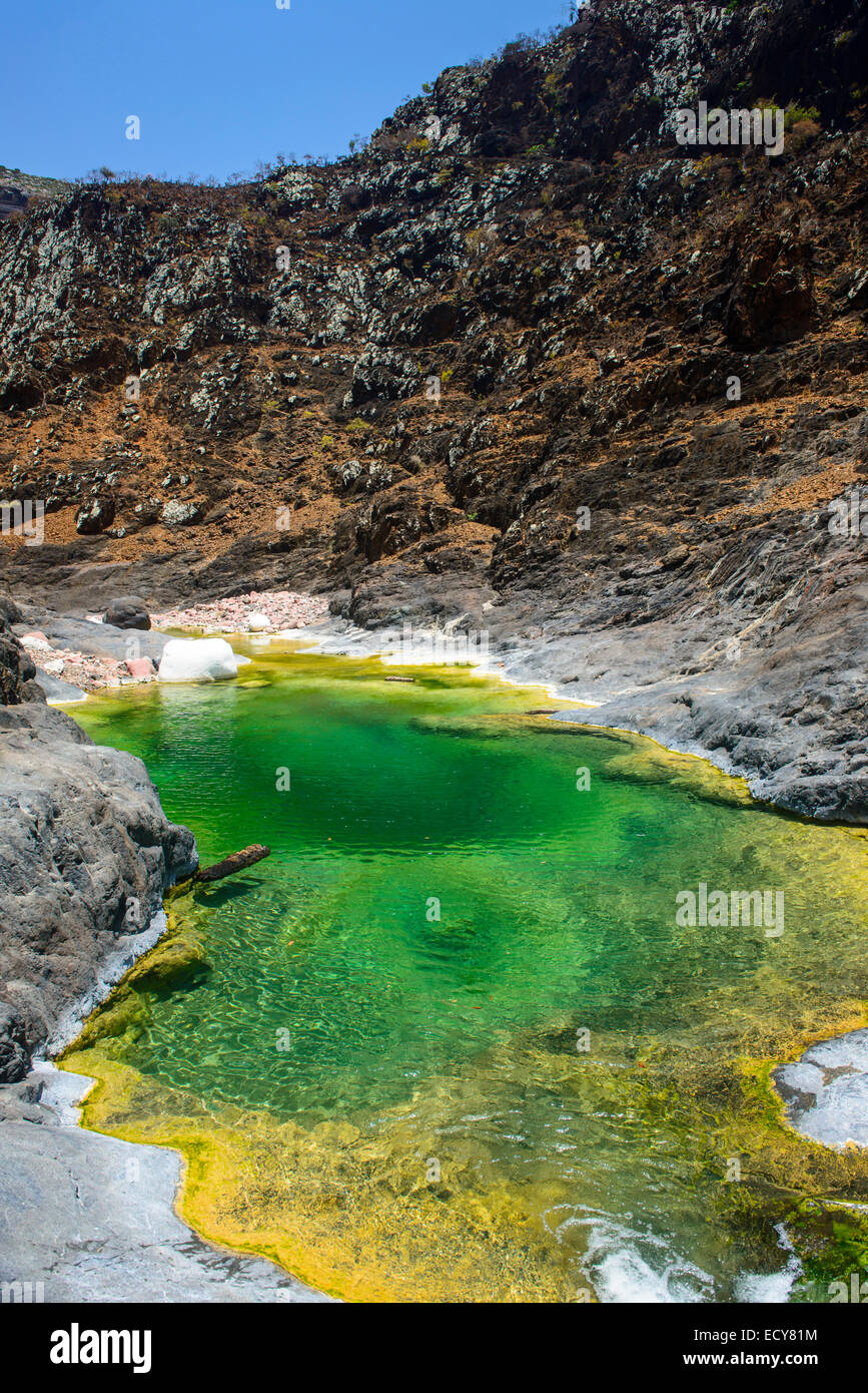 Green pond in a valley at the Dixsam plateau, Socotra, Yemen Stock Photo