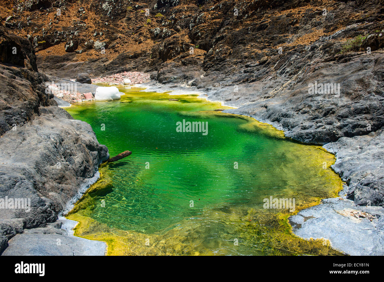 Green pond in a valley at the Dixsam plateau, Socotra, Yemen Stock Photo