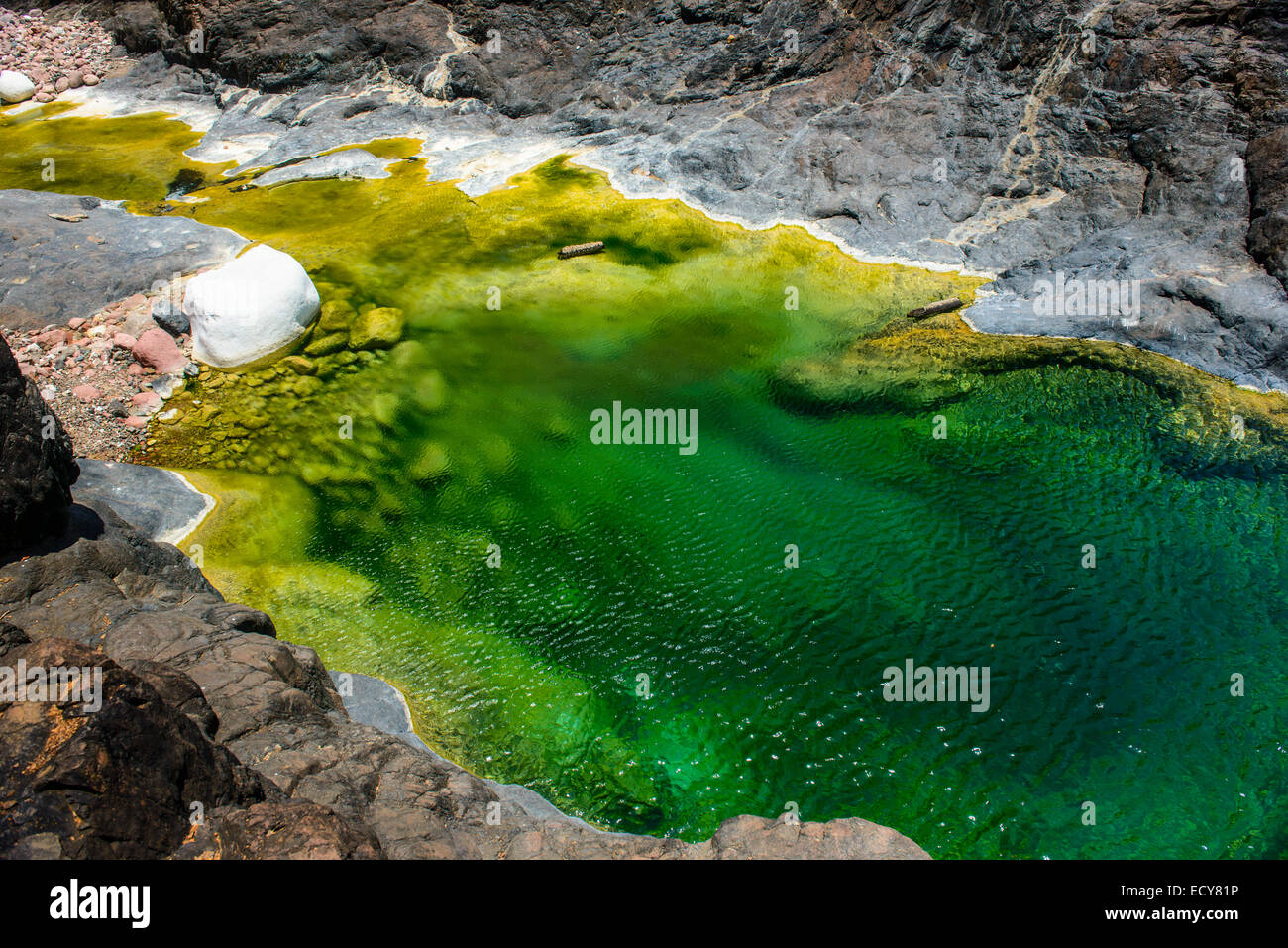 Green pond in a valley at the Dixsam plateau, Socotra, Yemen Stock Photo