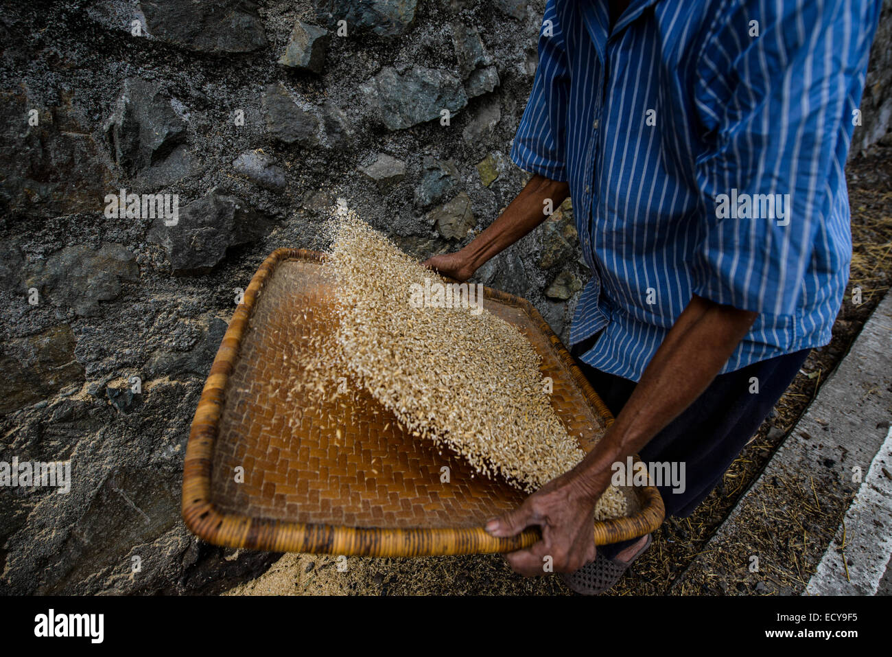 Rice pounding, The Cordillera, North Luzon, Philippines Stock Photo