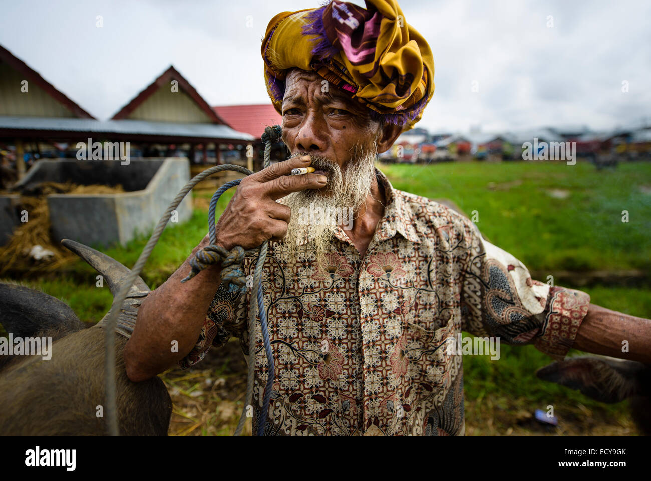 Toraja man at the livestock market, Sulawesi, Indonesia Stock Photo