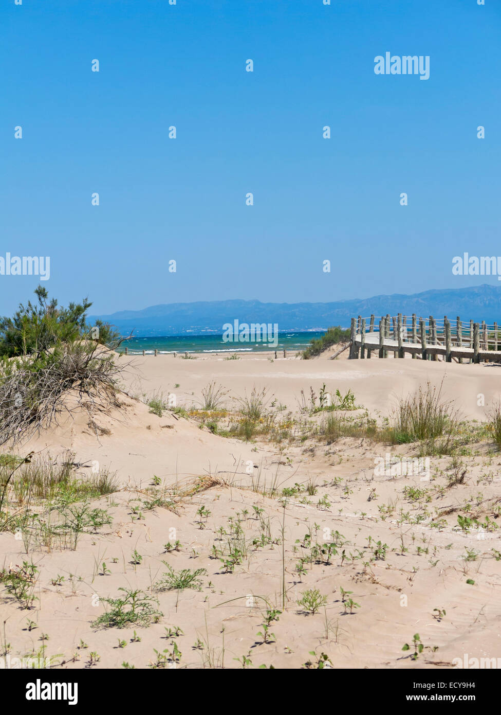 The Ebro Delta National Park is located at the mouth of the Ebro river