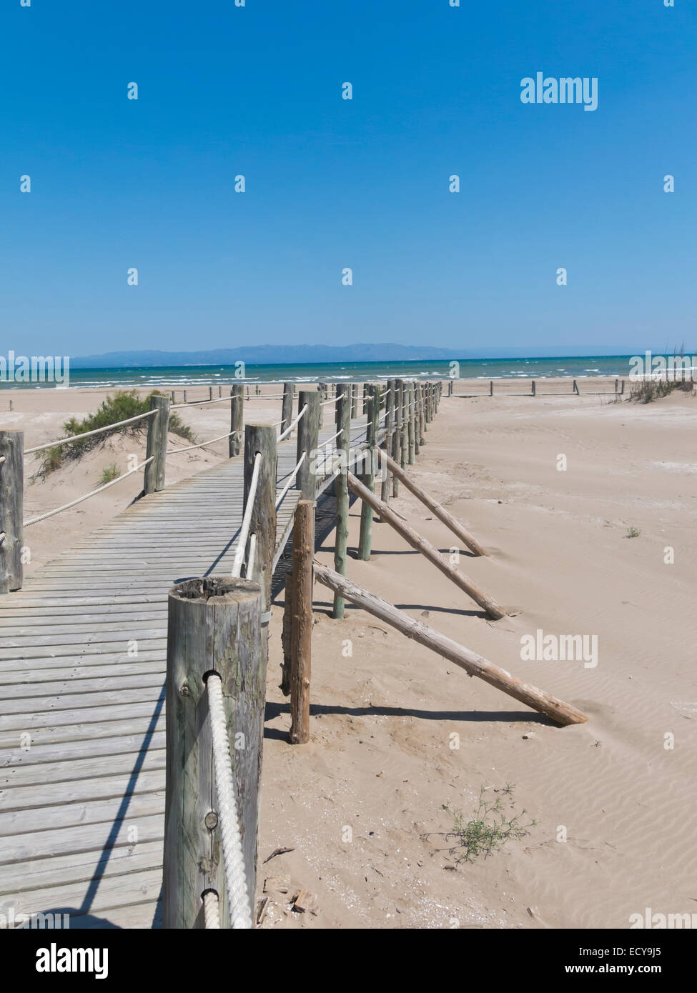 The Ebro Delta National Park is located at the mouth of the Ebro river