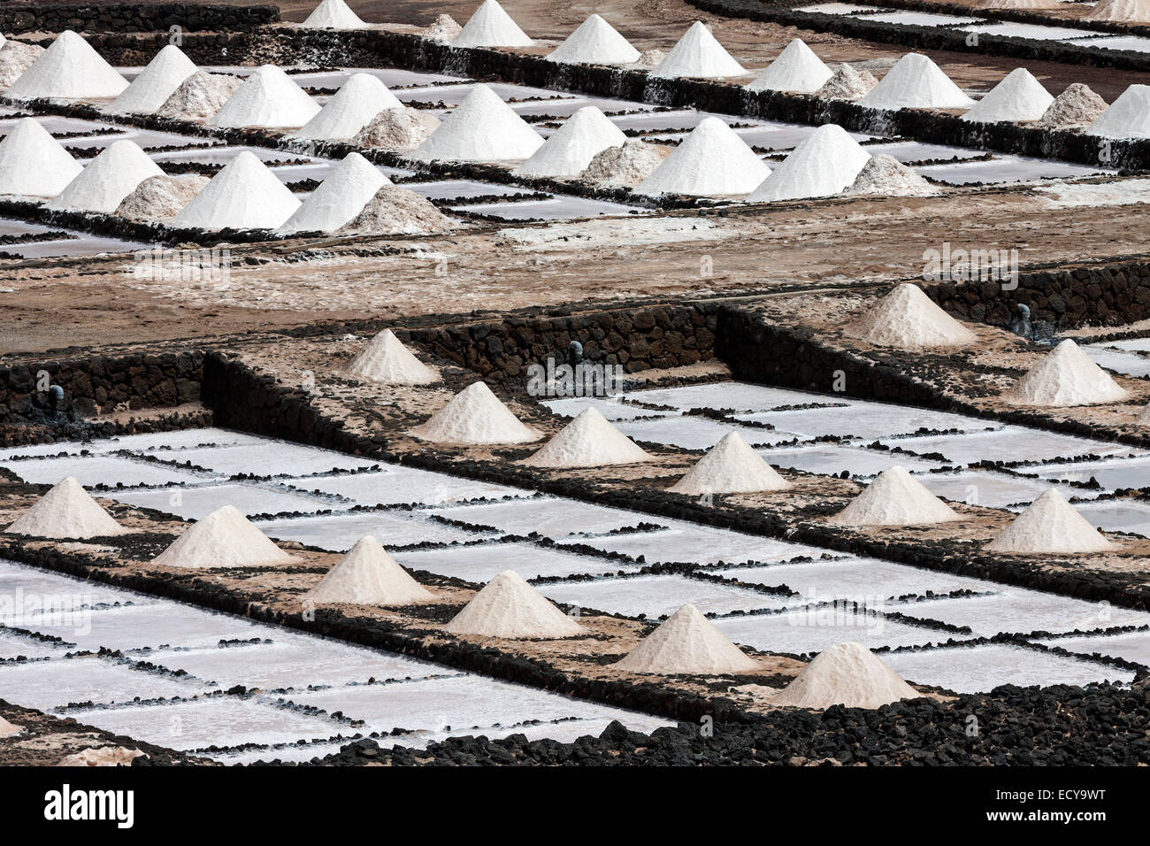 Sea salt production, salt pans, Salinas de Janubio, Lanzarote, Canary Islands, Spain Stock Photo