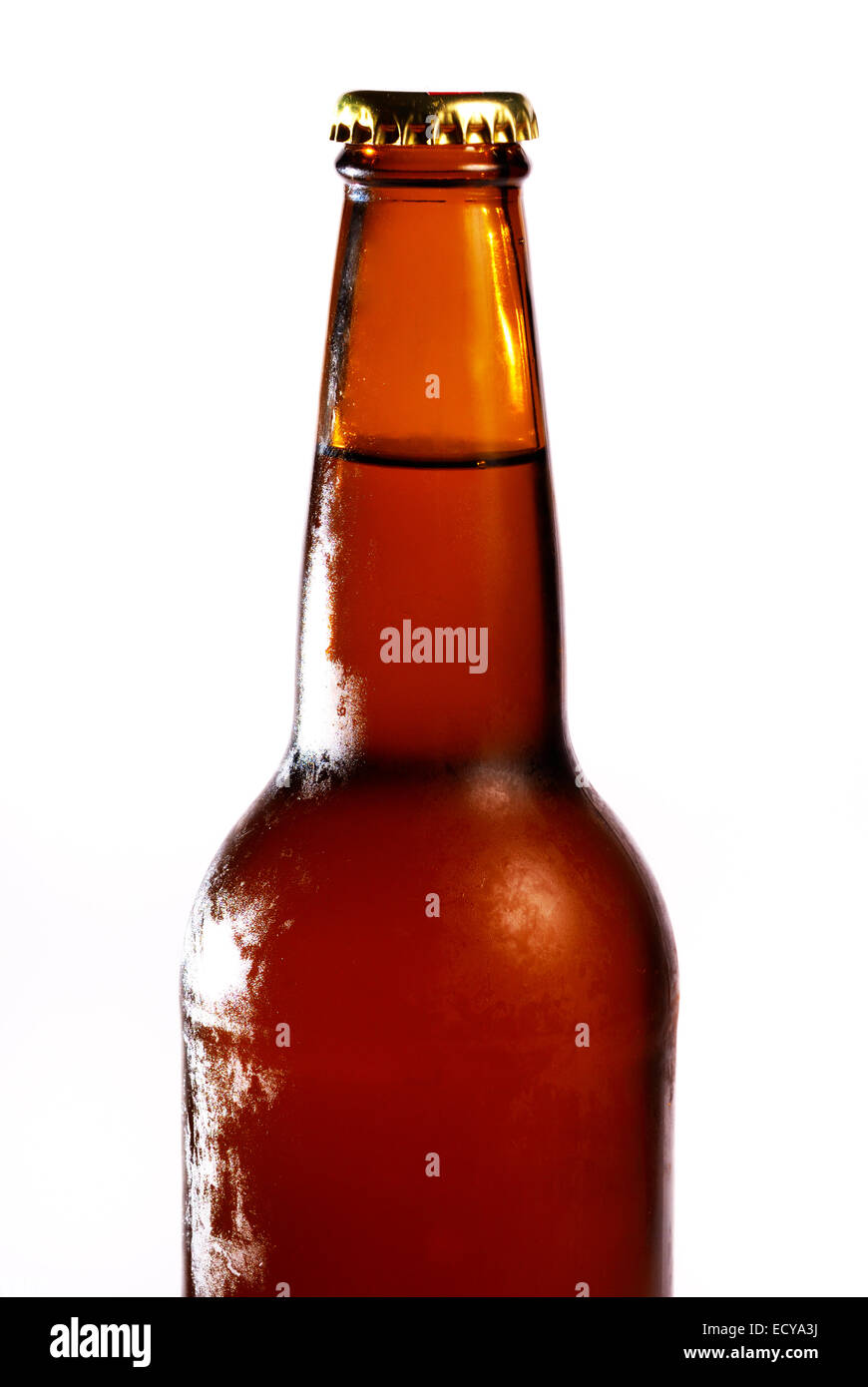bottle of beer Stock Photo Alamy