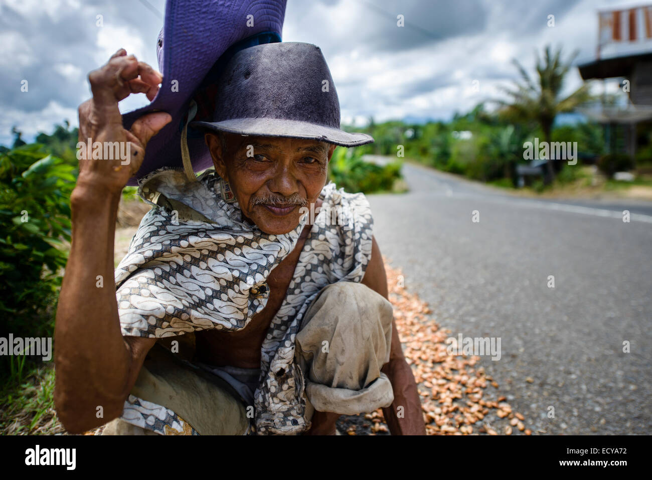 Cocoa beans collector, Sulawesi, Indonesia Stock Photo