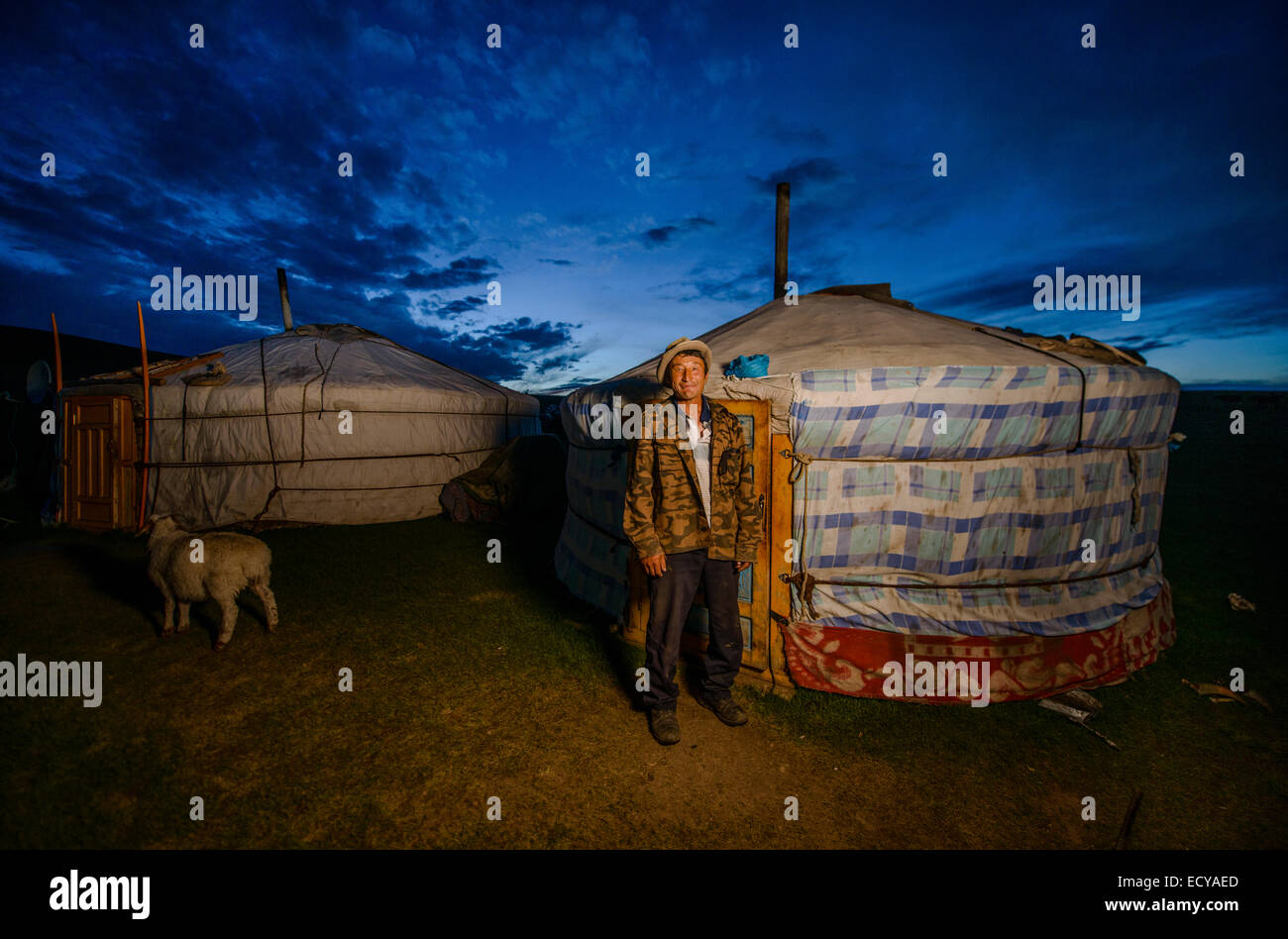 Mongolian sheep hi-res stock photography and images - Alamy