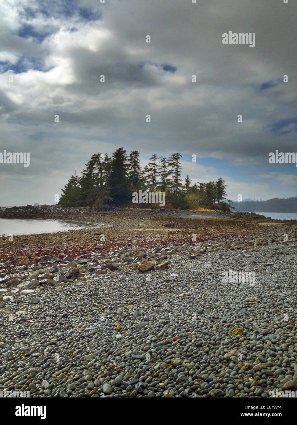 Forest island and rocky beach on remote lake - Smartphone Captured Stock Image
