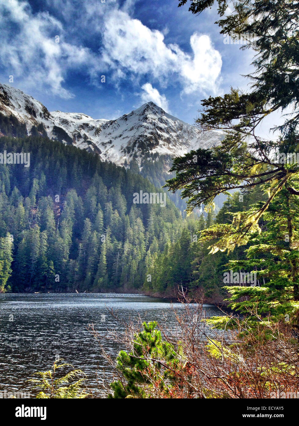 Mountains and forest overlooking Beaver Lake, Sitka, Alaska, United States - Smartphone Captured Stock Image