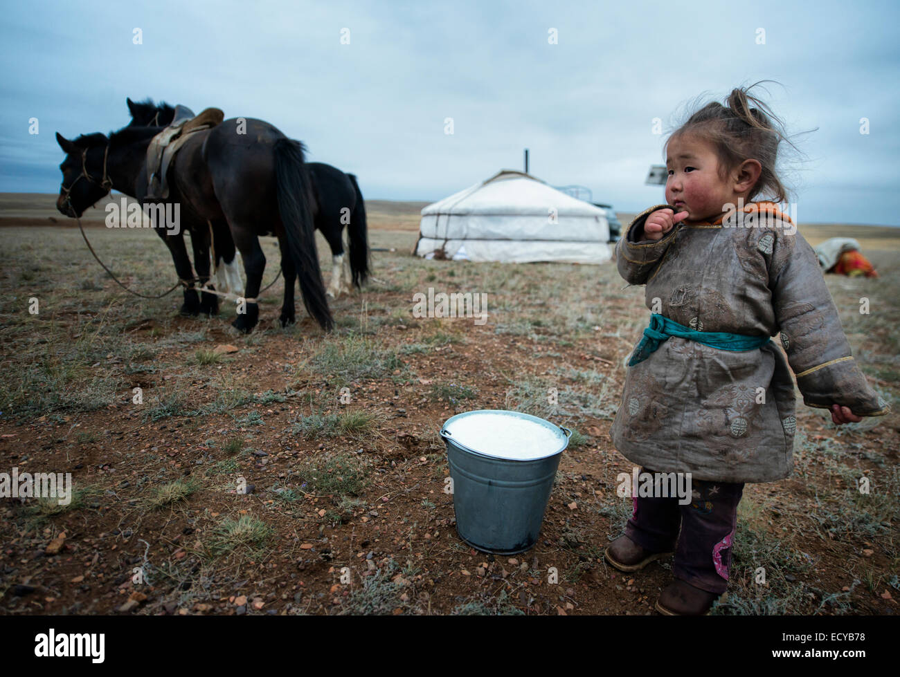 Nomad girl of the Gobi desert, Mongolia Stock Photo - Alamy