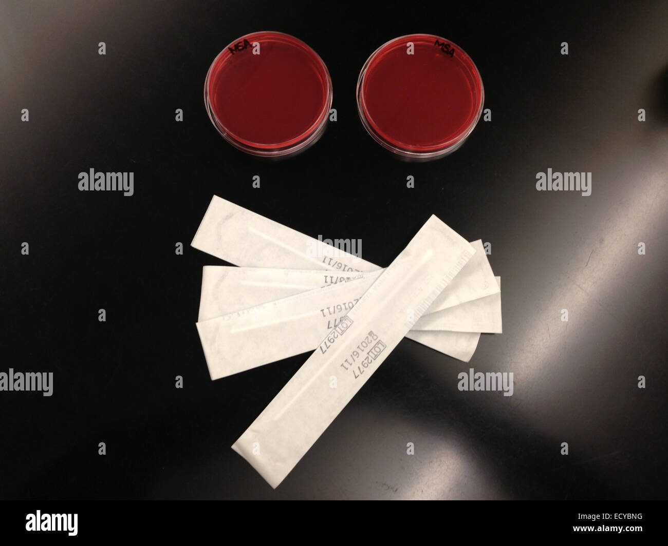 Petri dishes with cultures and wrapped swabs in lab Stock Photo Alamy