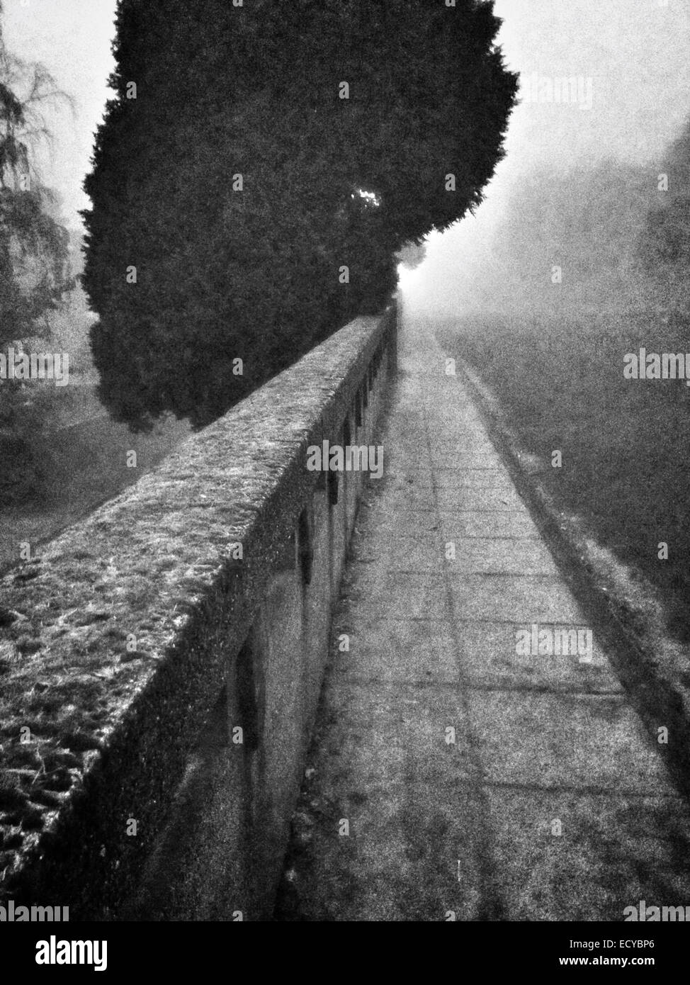 Concrete banister near walkway in park - Smartphone Captured Stock Image