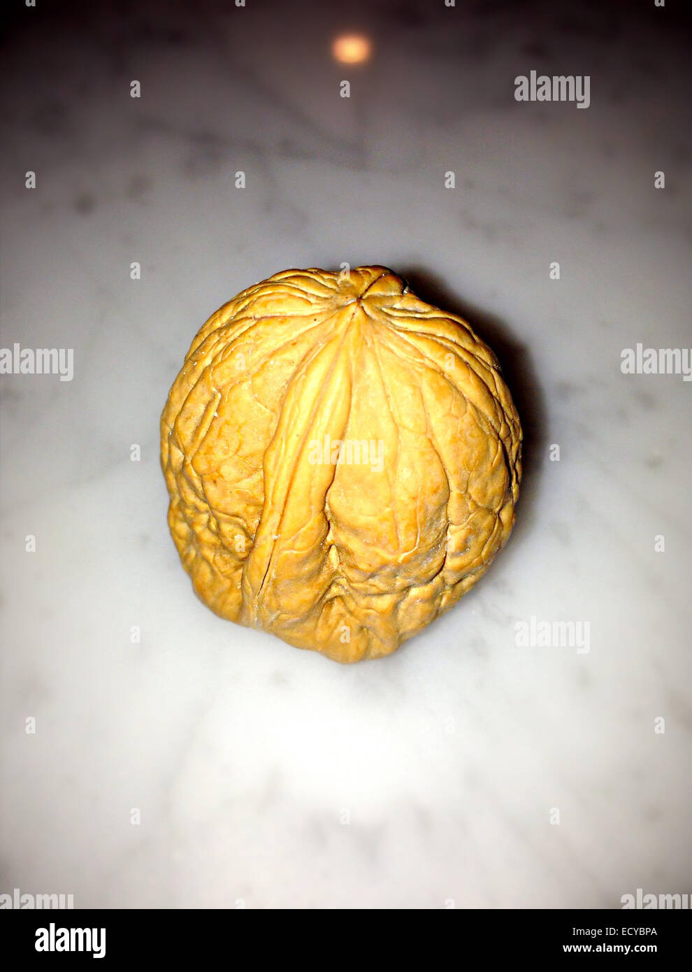 Close up of walnut - Smartphone Captured Stock Image
